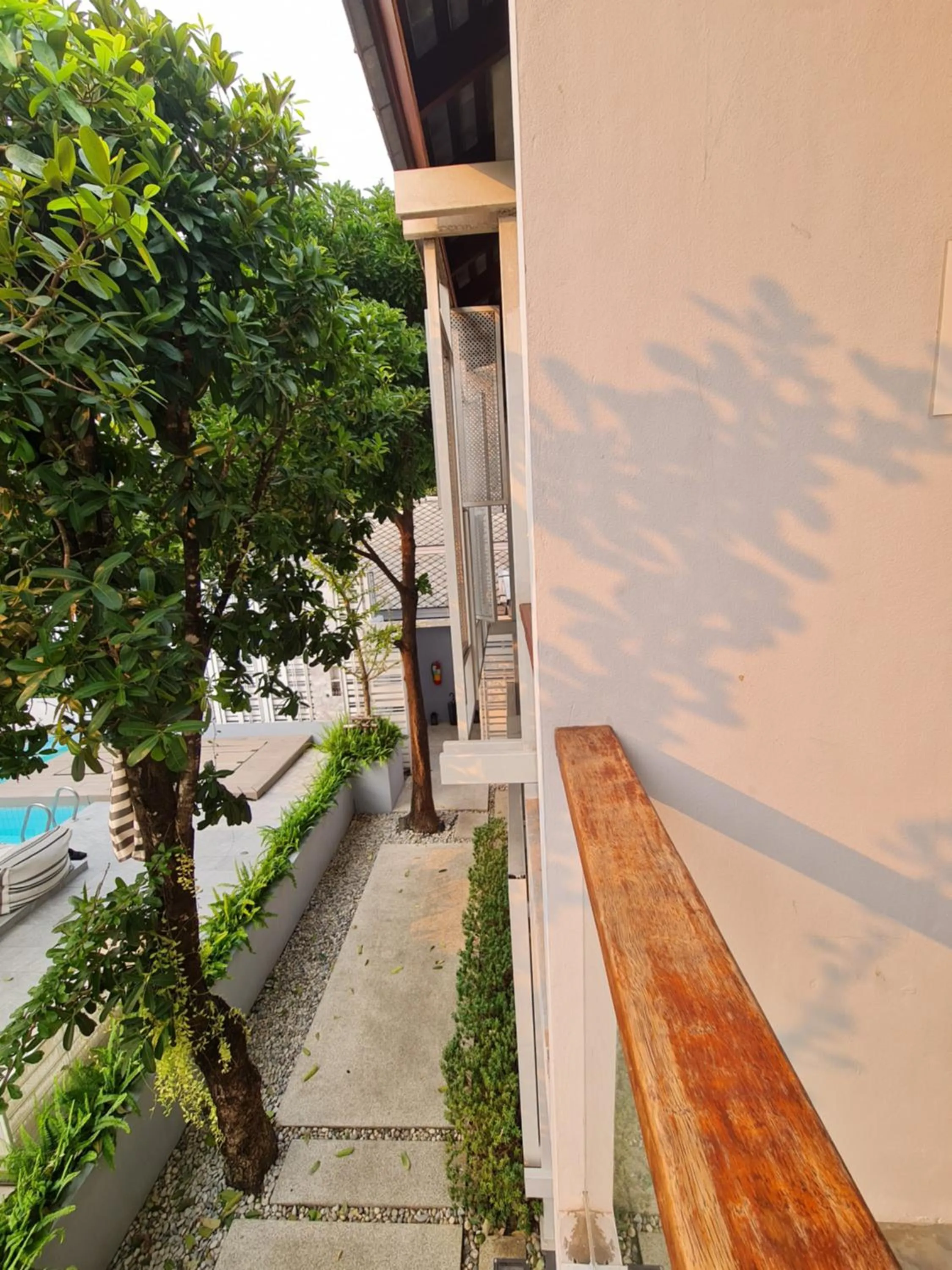 View (from property/room) in Treevana Club Chiangmai