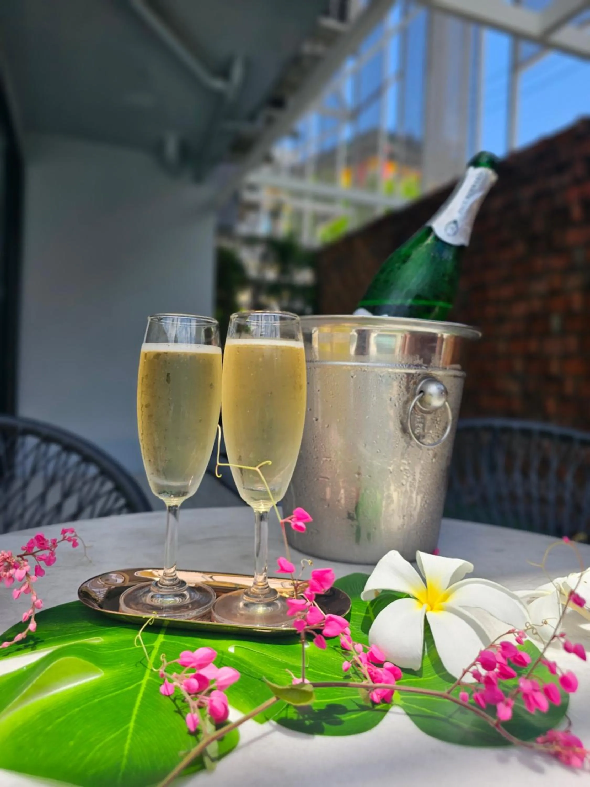 Alcoholic drinks in Treevana Club Chiangmai