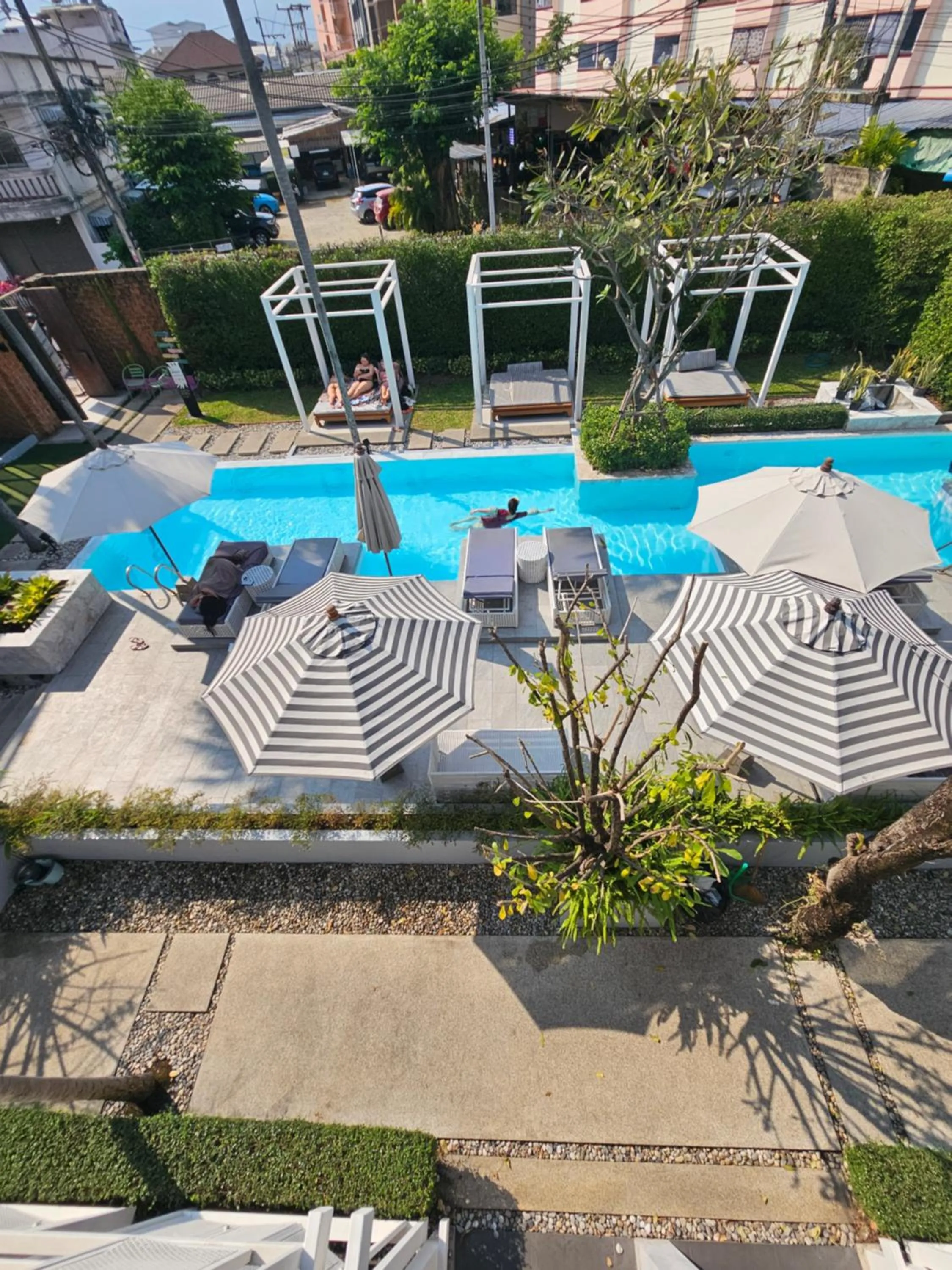 Garden view in Treevana Club Chiangmai