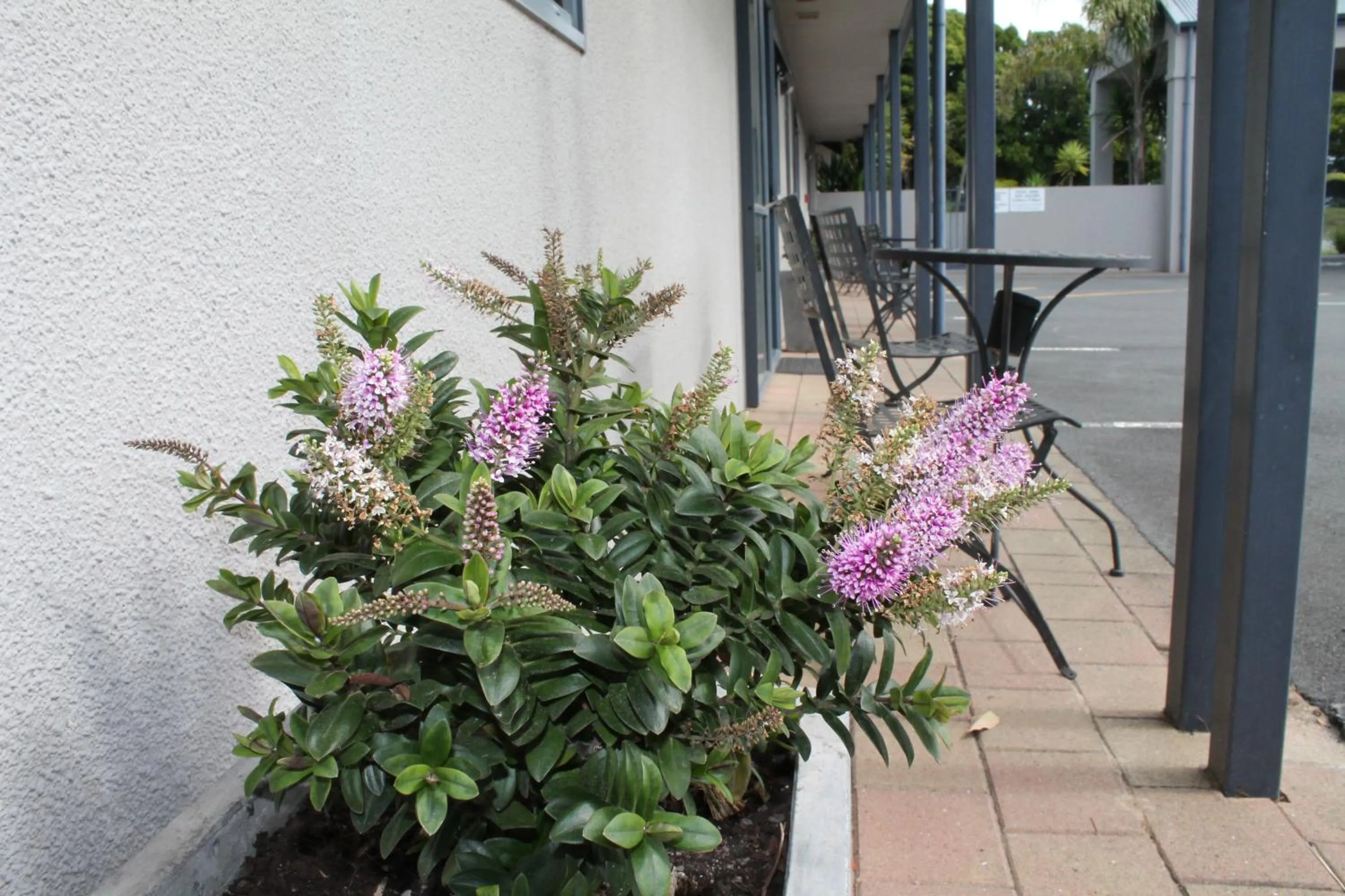 Decorative detail in Aquarius Motor Inn