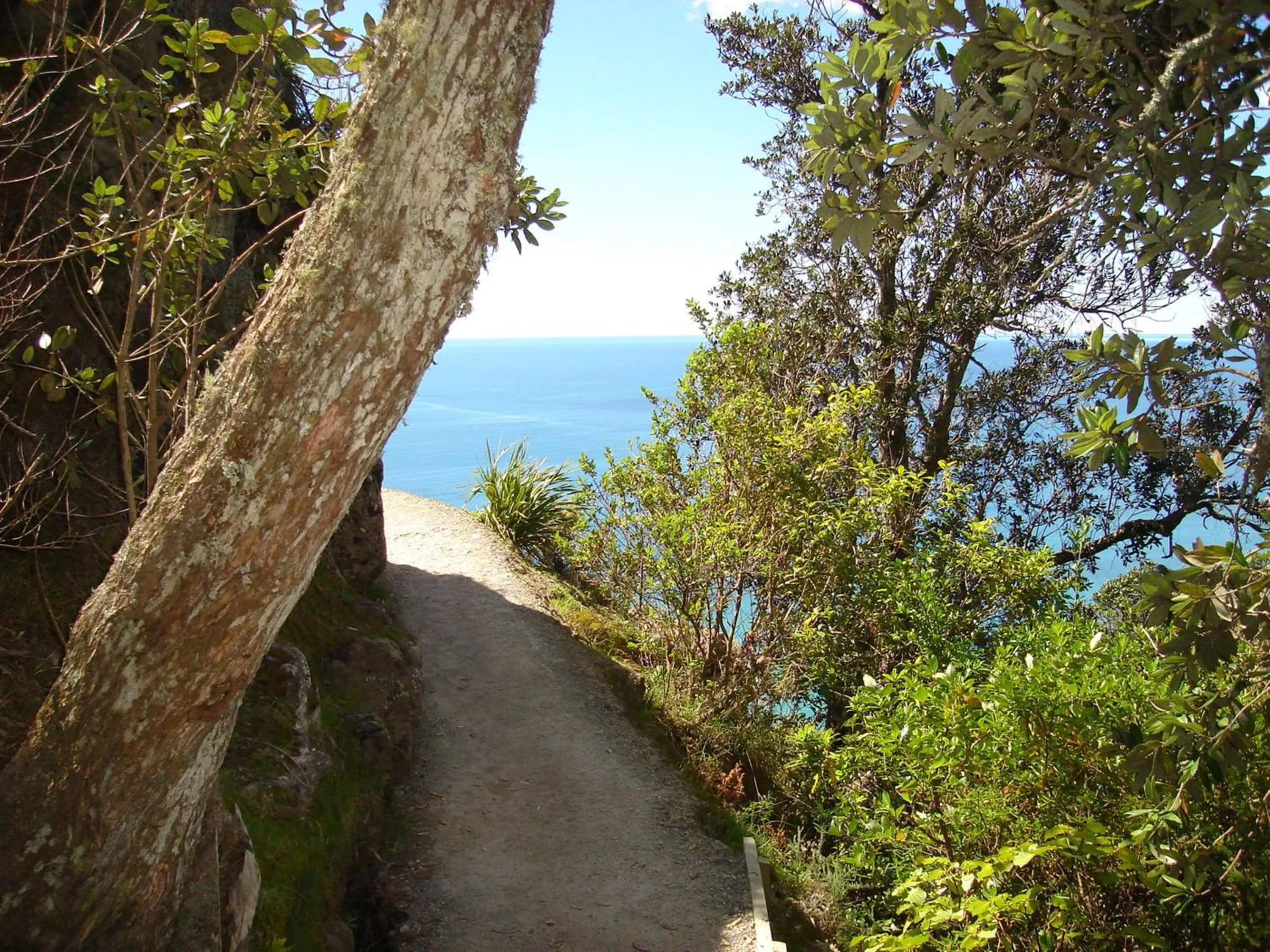 Area and facilities in Aquarius Motor Inn
