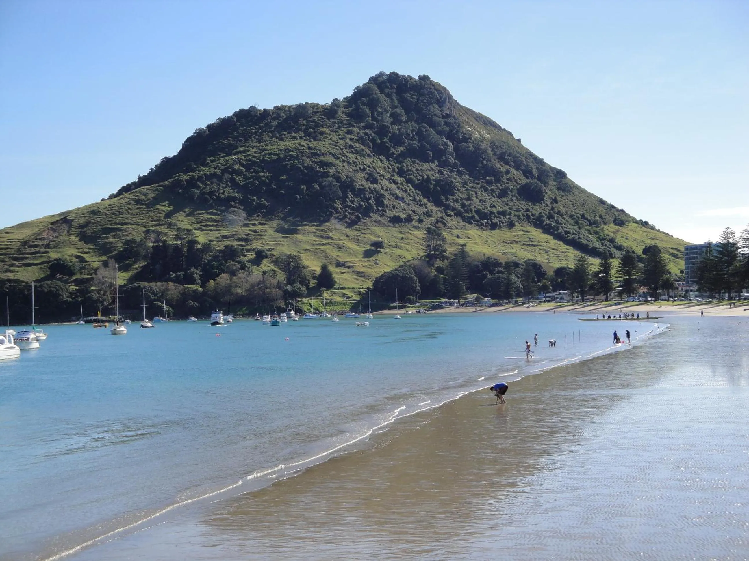 Area and facilities in Aquarius Motor Inn