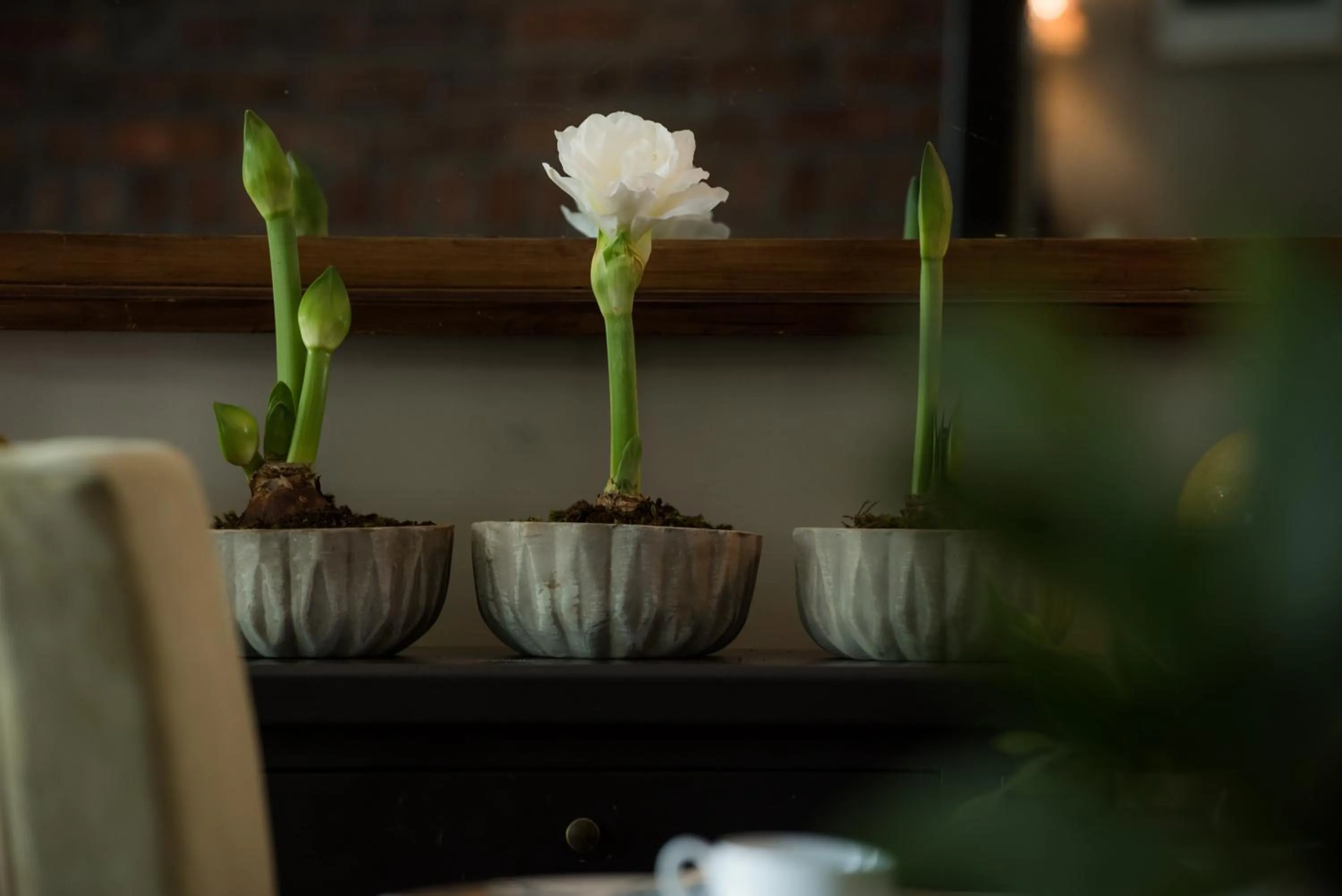 Decorative detail in Welgelegen House
