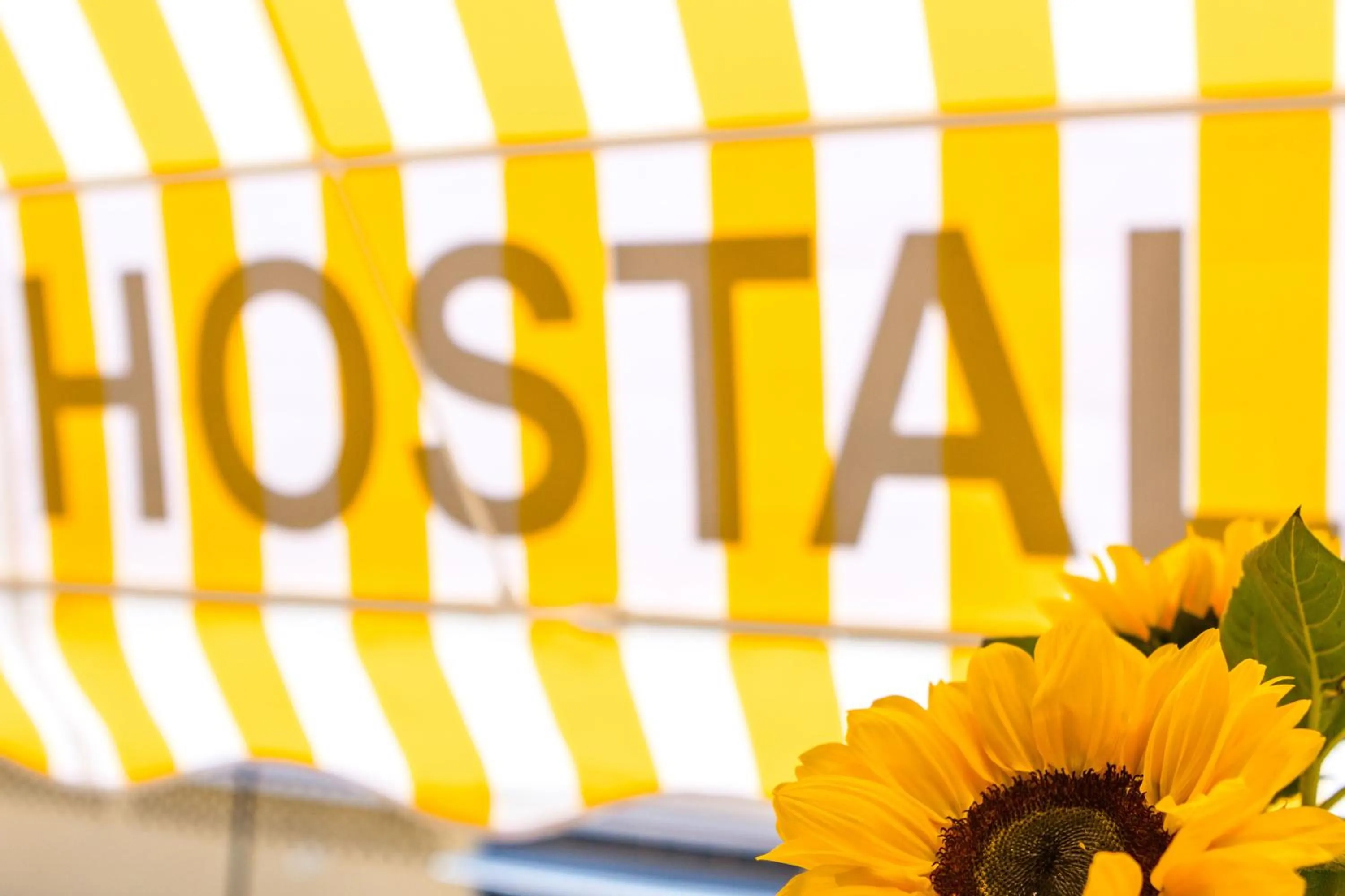 Property logo or sign in Hostal Jomarijo