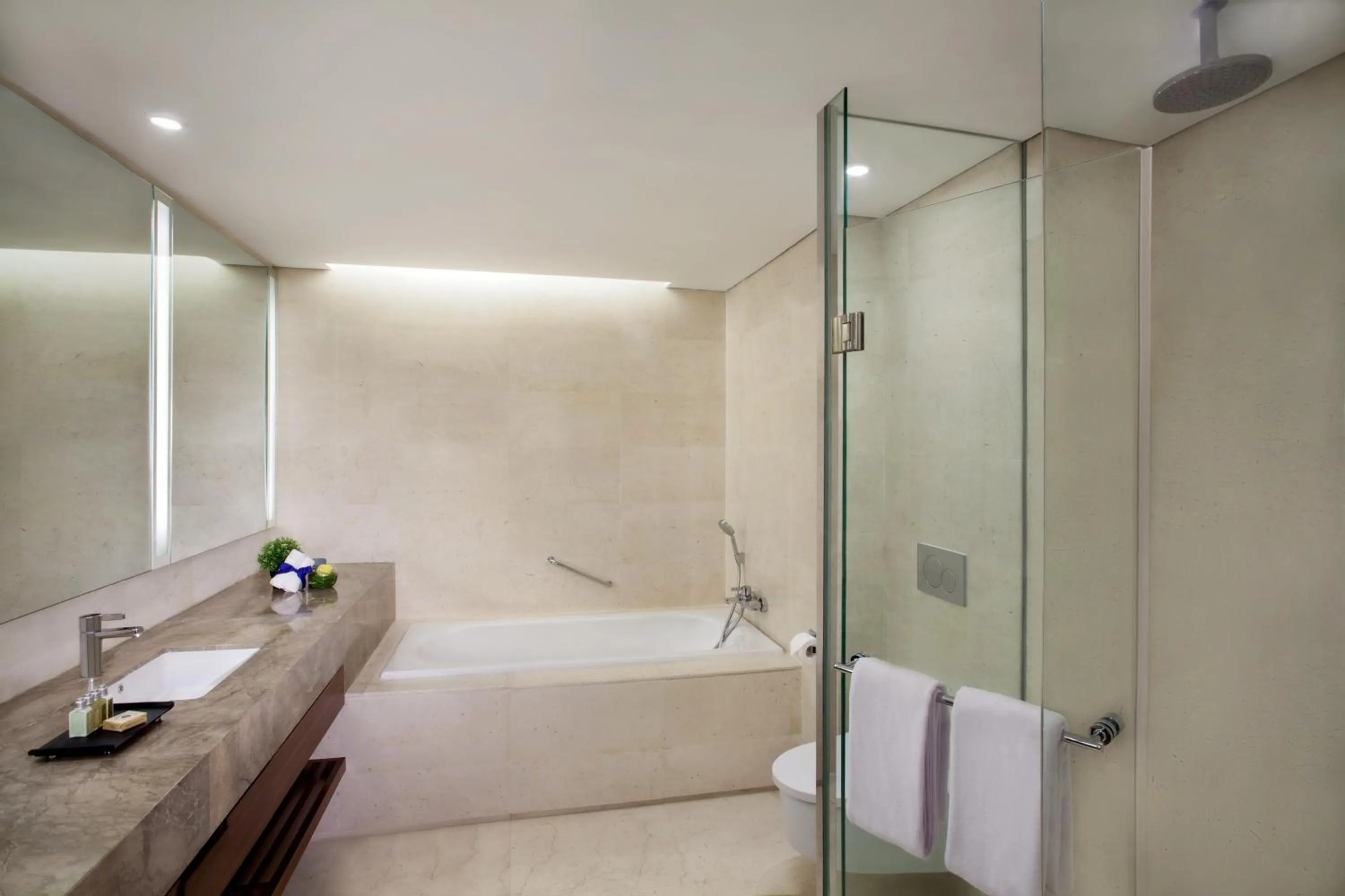 Toilet in Ascott Sudirman Jakarta
