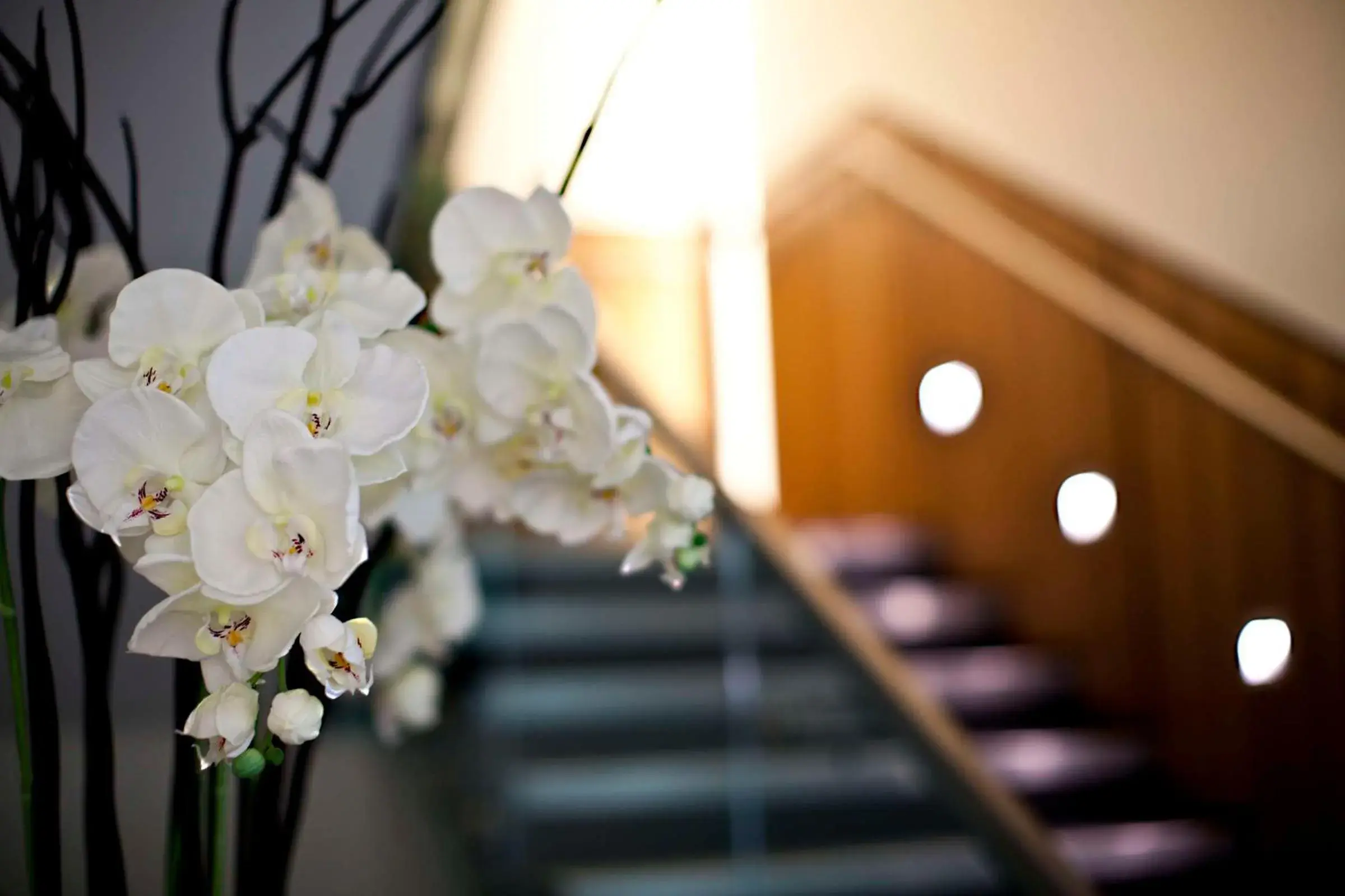 Spa and wellness centre/facilities in Hilton London Heathrow Airport Terminal 5 Spa and wellness centre/facilities in Hilton London Heathrow Airport Terminal 5