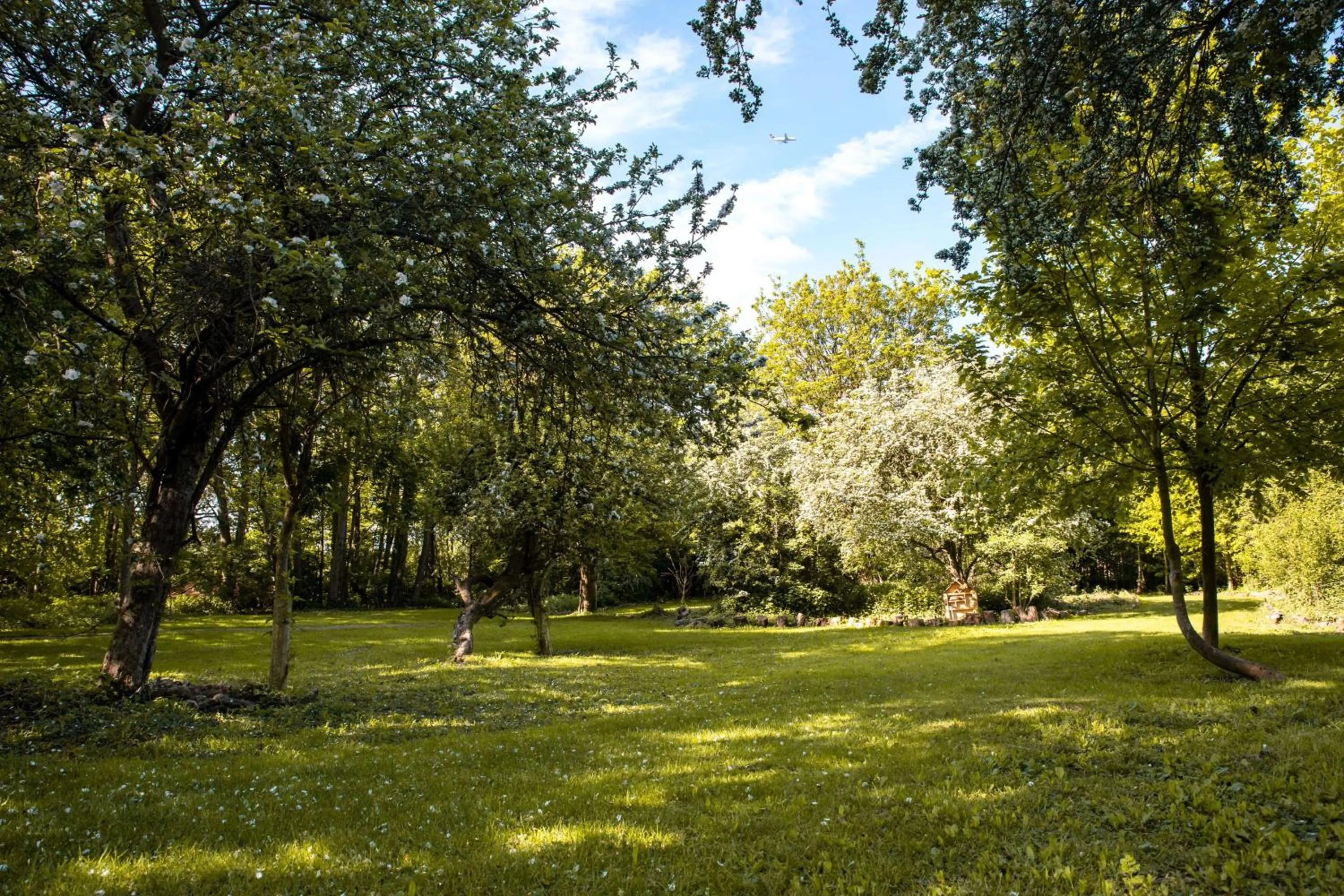 Sports in Hilton London Heathrow Airport Terminal 5