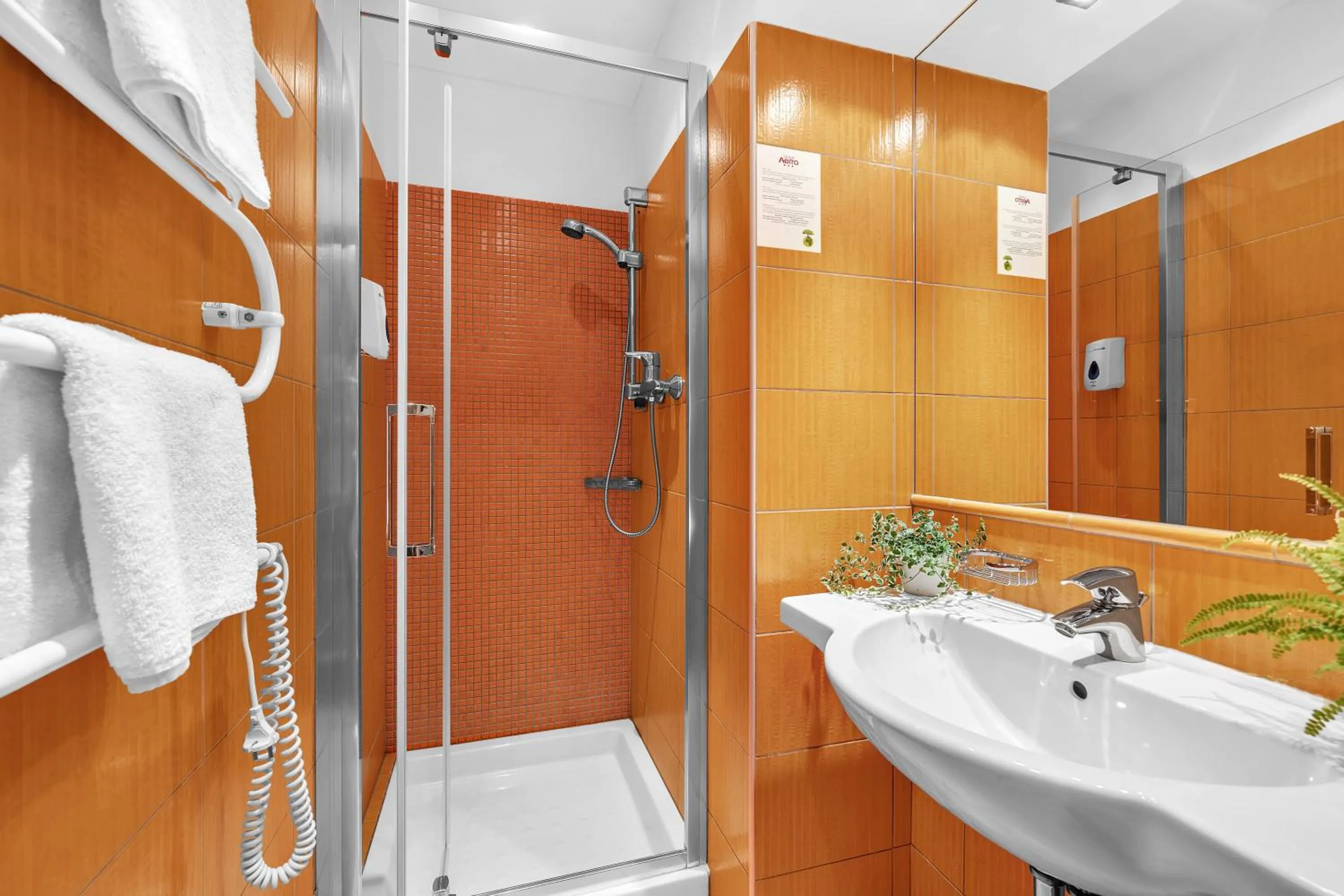 Shower in Abitohotel