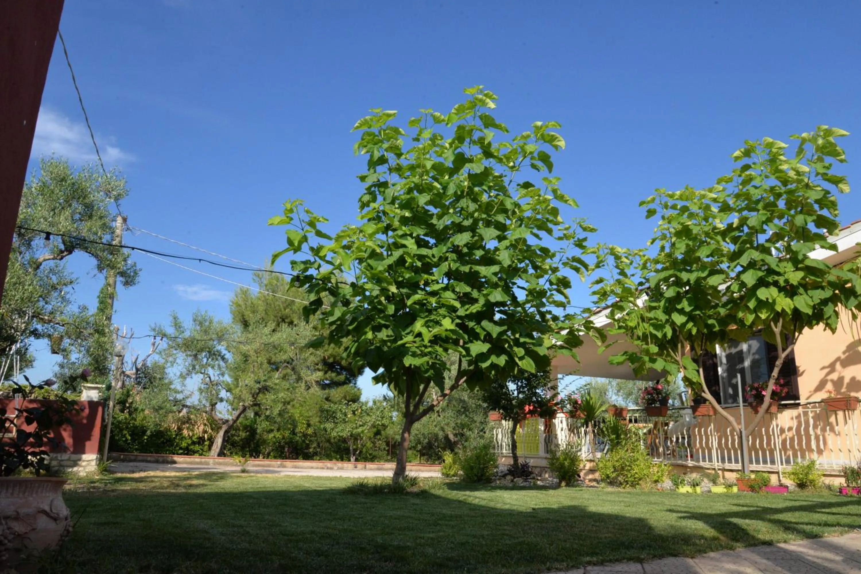 Garden in B&B Lara Santola