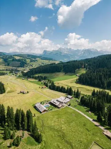 Dolomites Living Hotel Tirler Dolomites Living Hotel Tirler