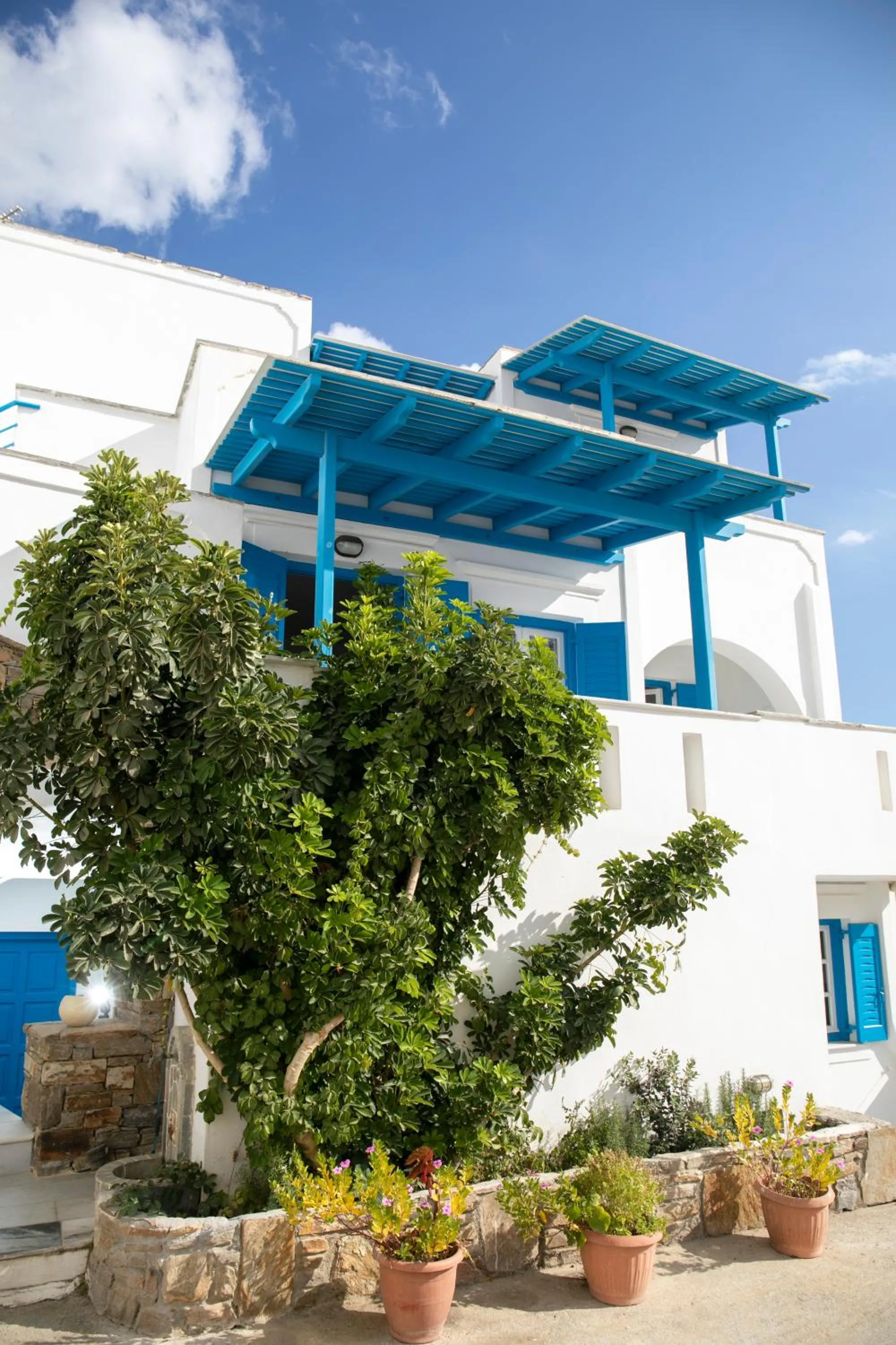 Property building in Flora Apartments & Studios