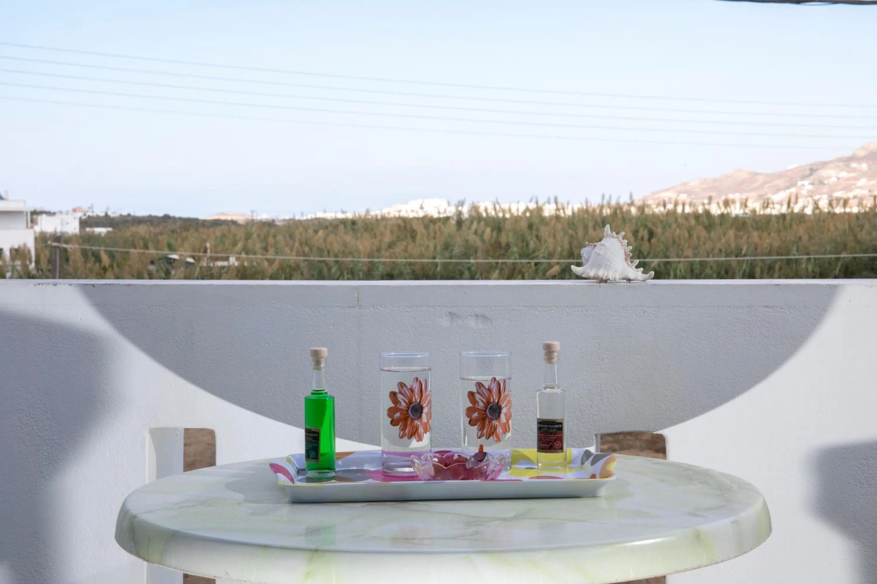 Balcony/Terrace in Flora Apartments & Studios