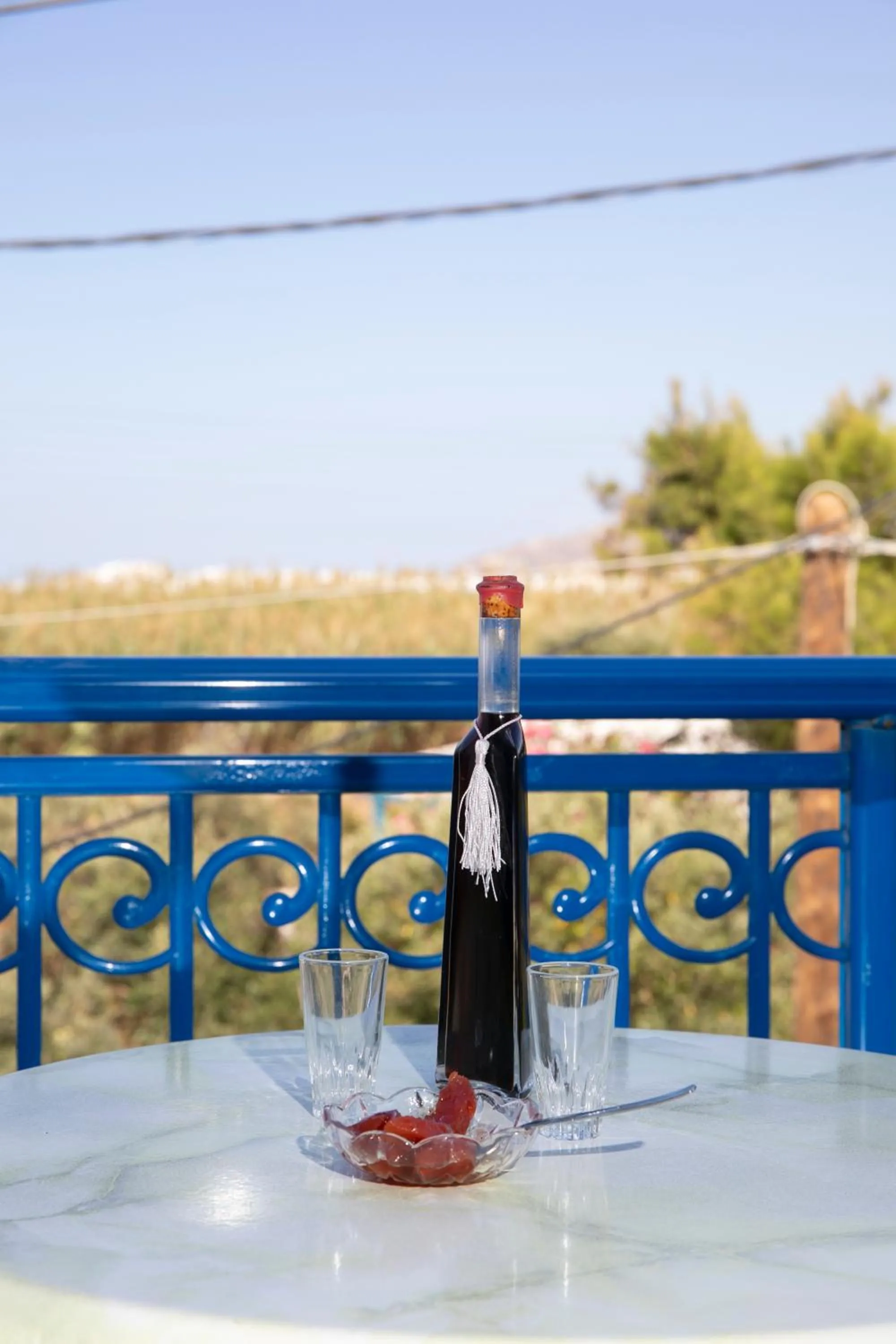 Balcony/Terrace in Flora Apartments & Studios