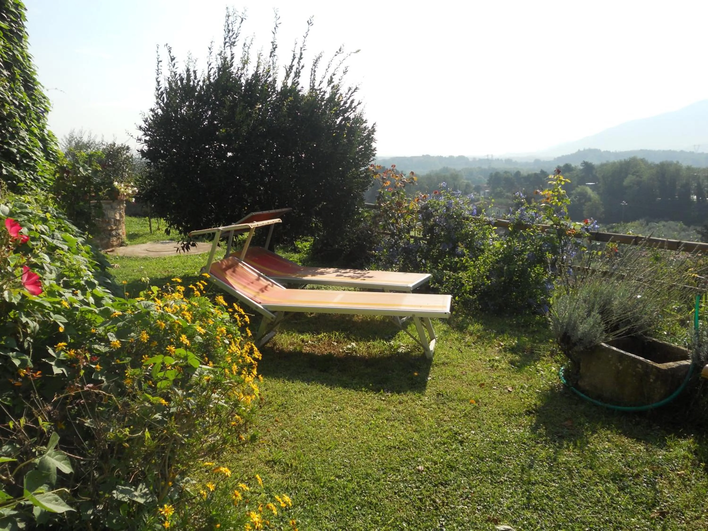 Garden in La Pieve Di Sant'Andrea