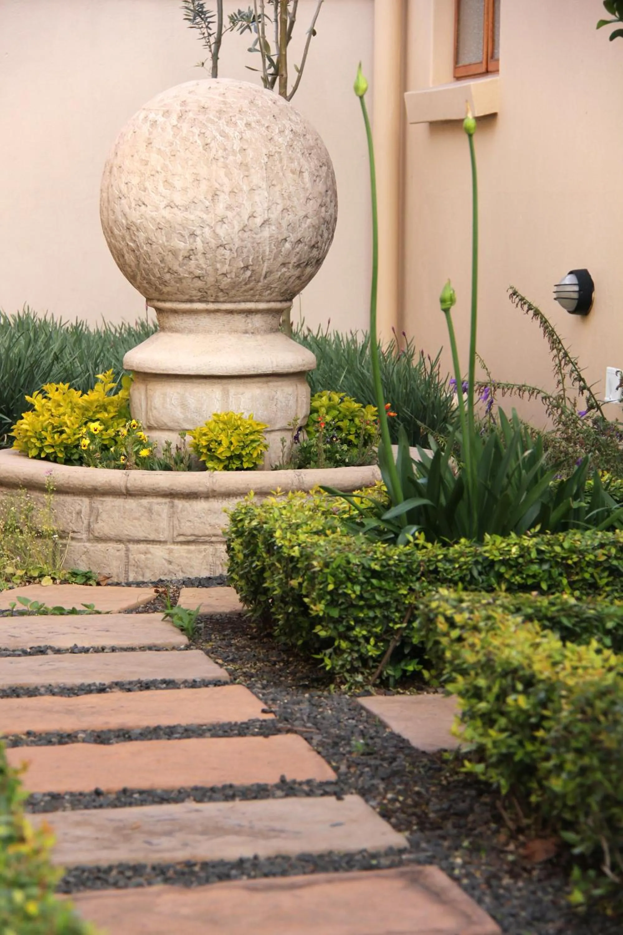 Garden in Del Roza Guest House