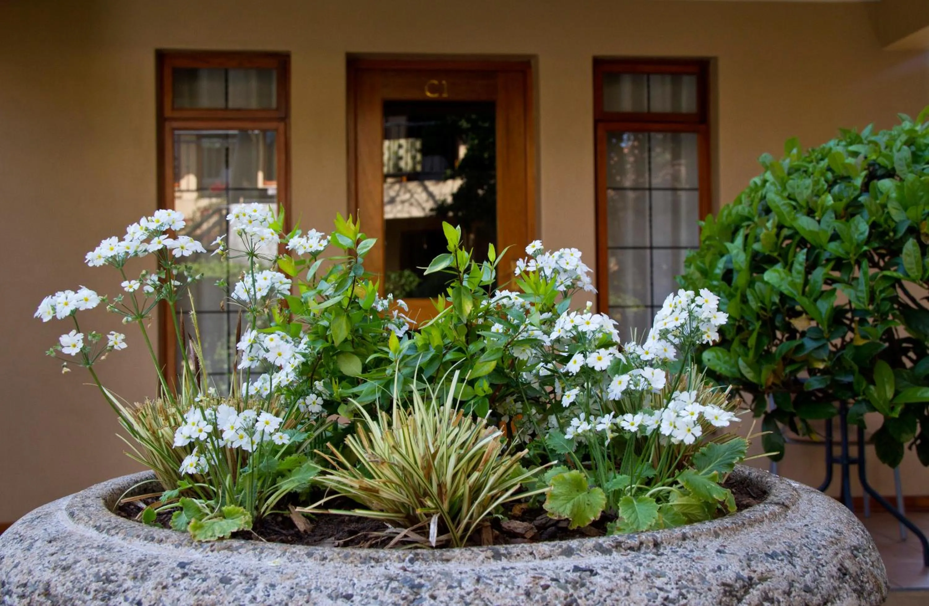 Garden in Del Roza Guest House