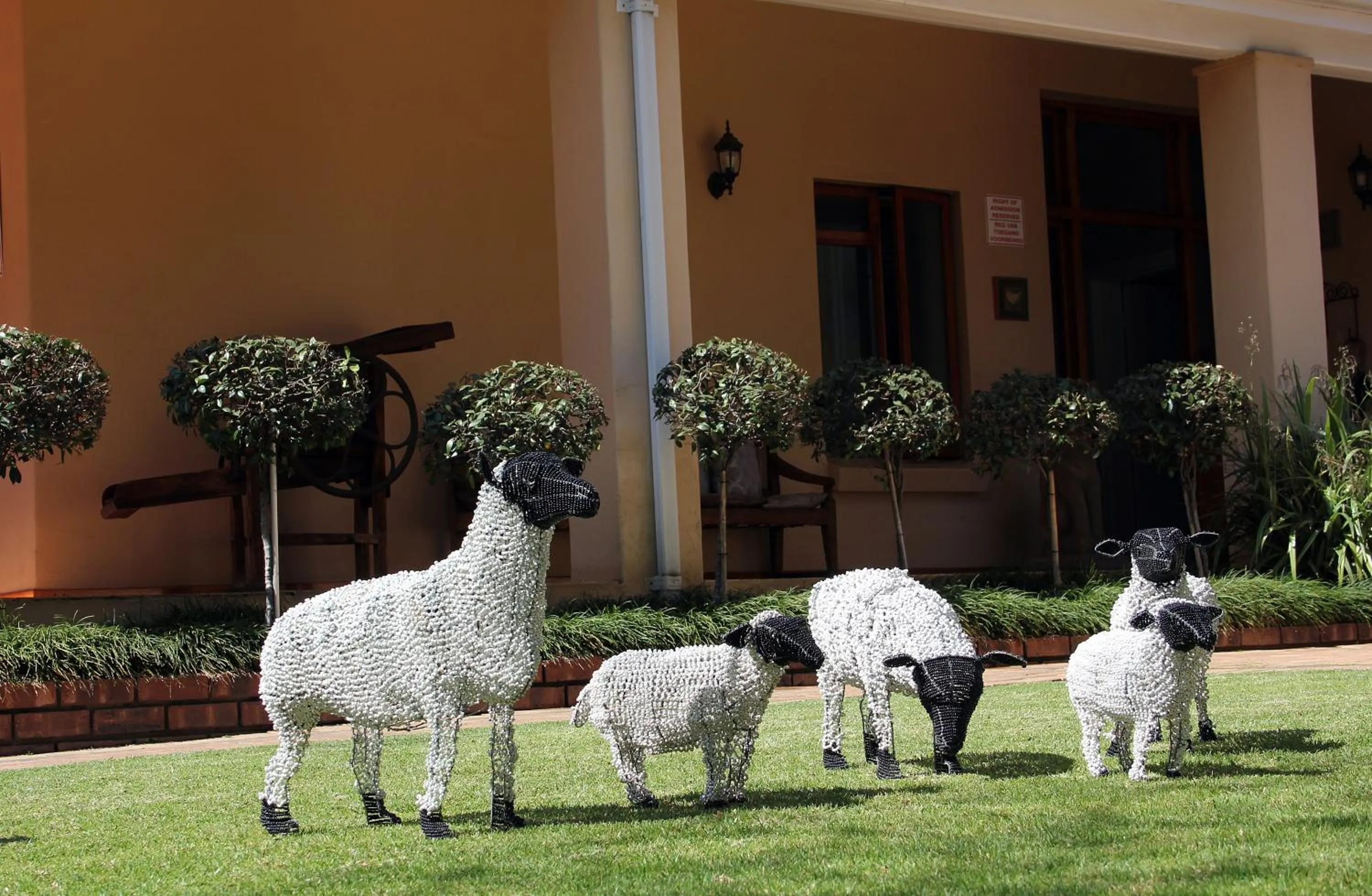 Garden in Del Roza Guest House