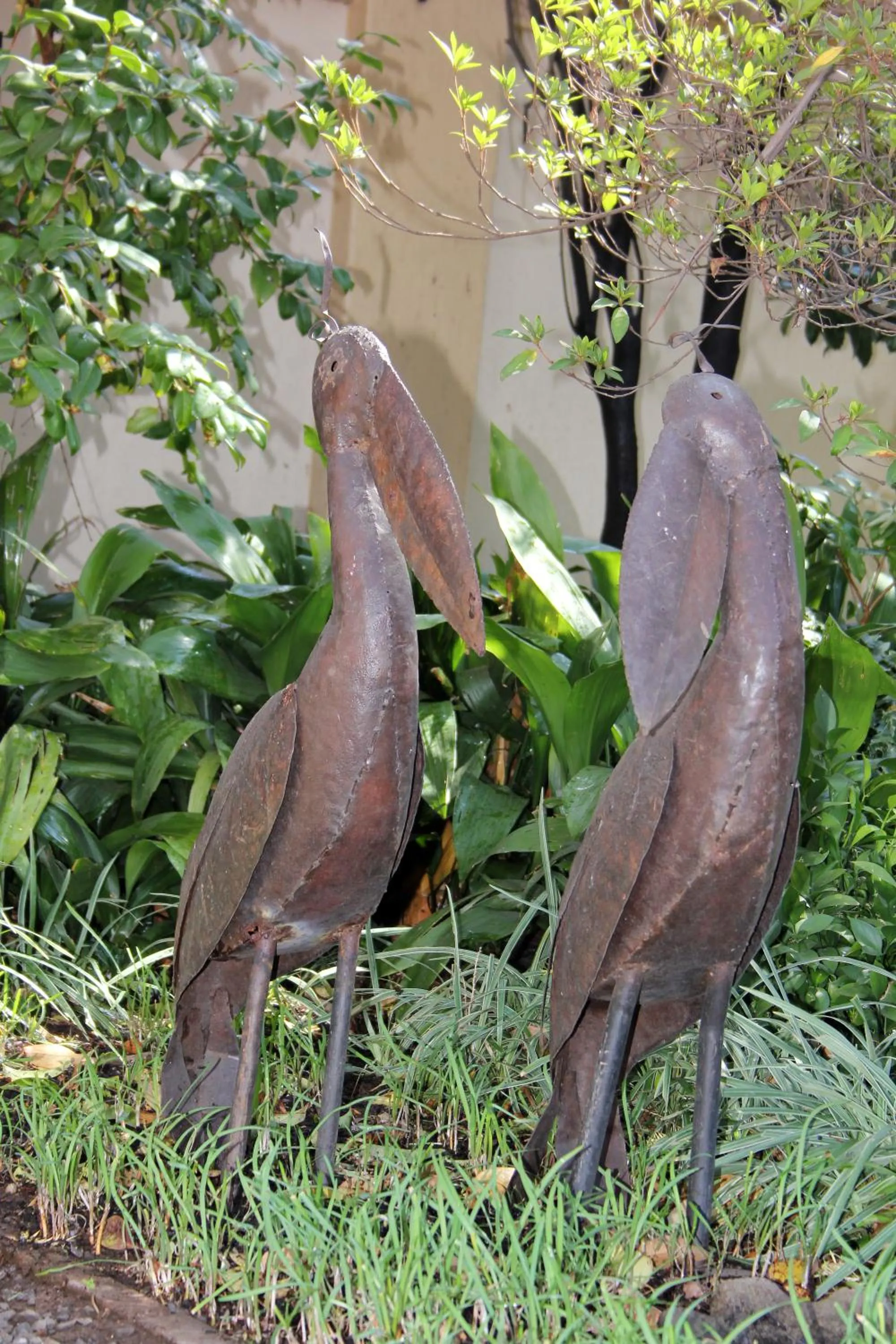 Garden in Del Roza Guest House
