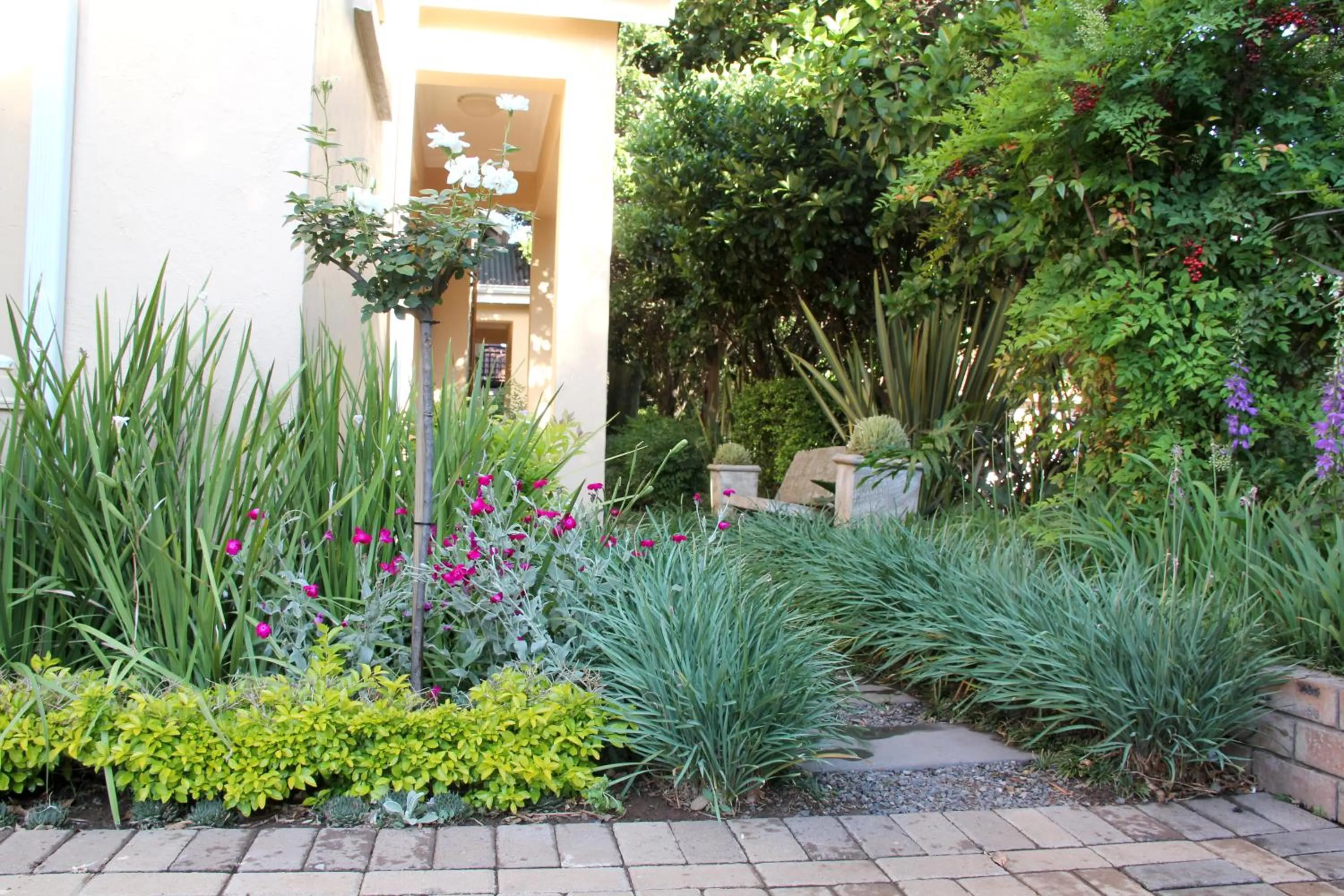Garden in Del Roza Guest House