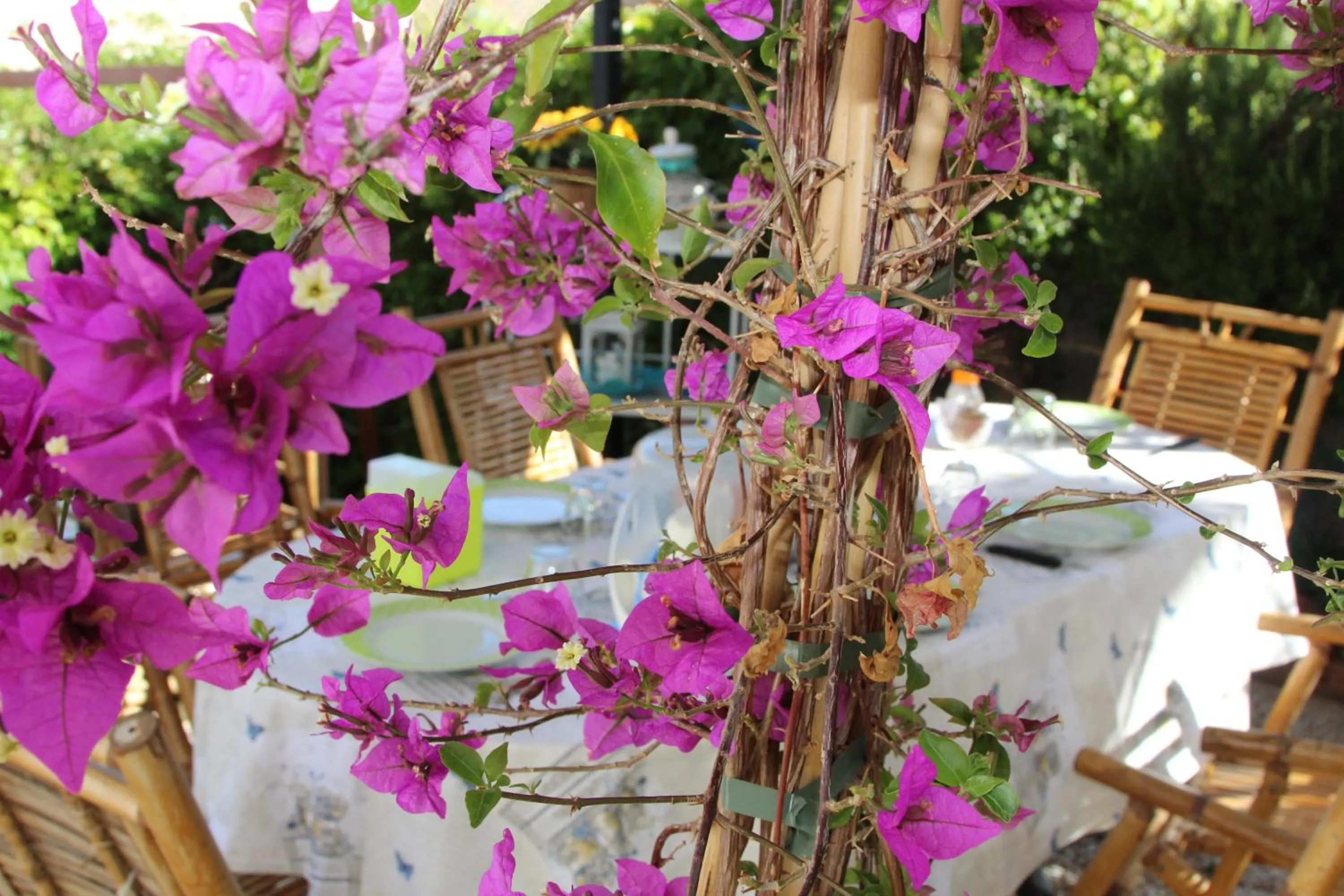 Garden in La Porta Sulla Costa