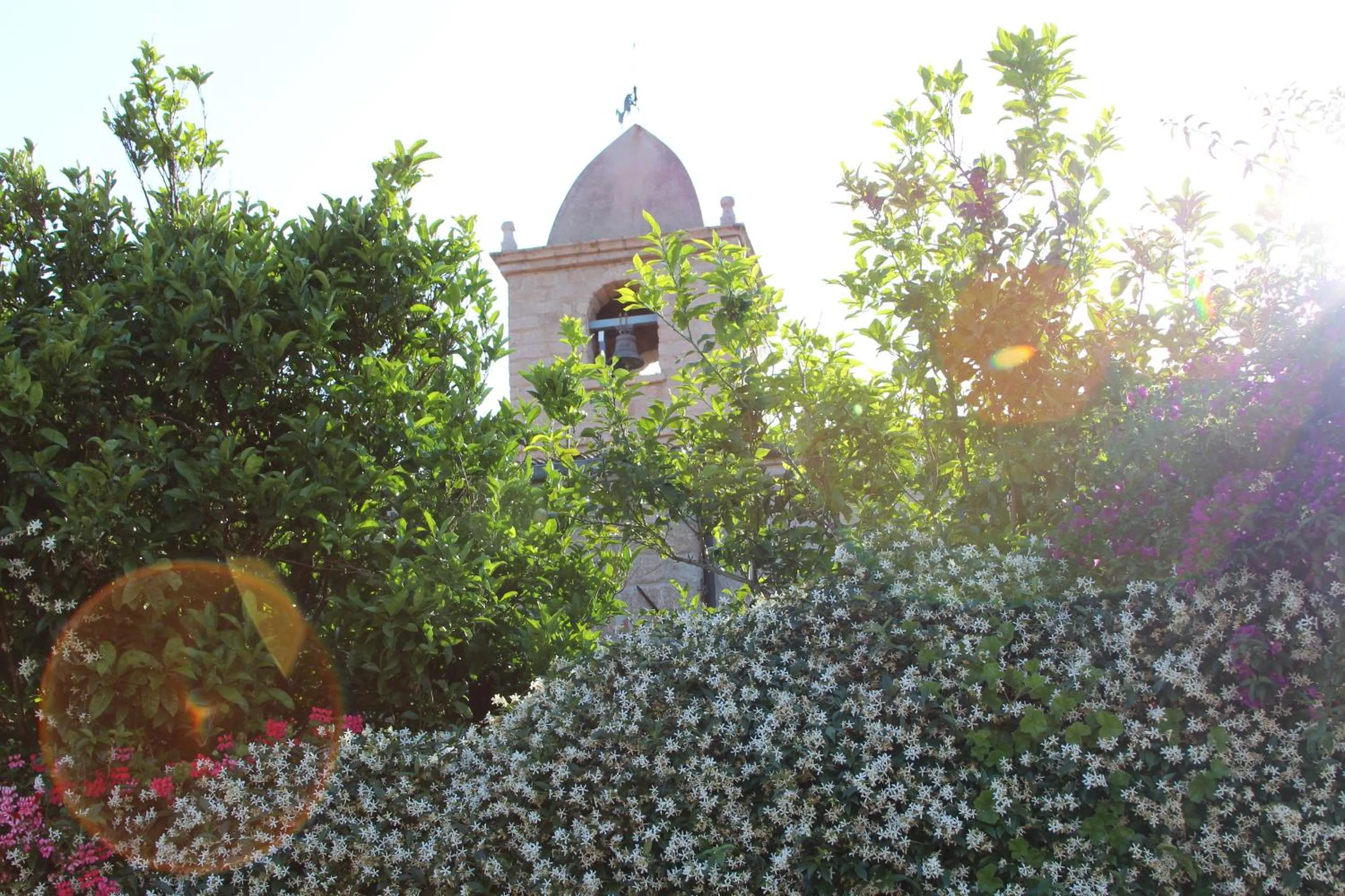 Other in La Porta Sulla Costa