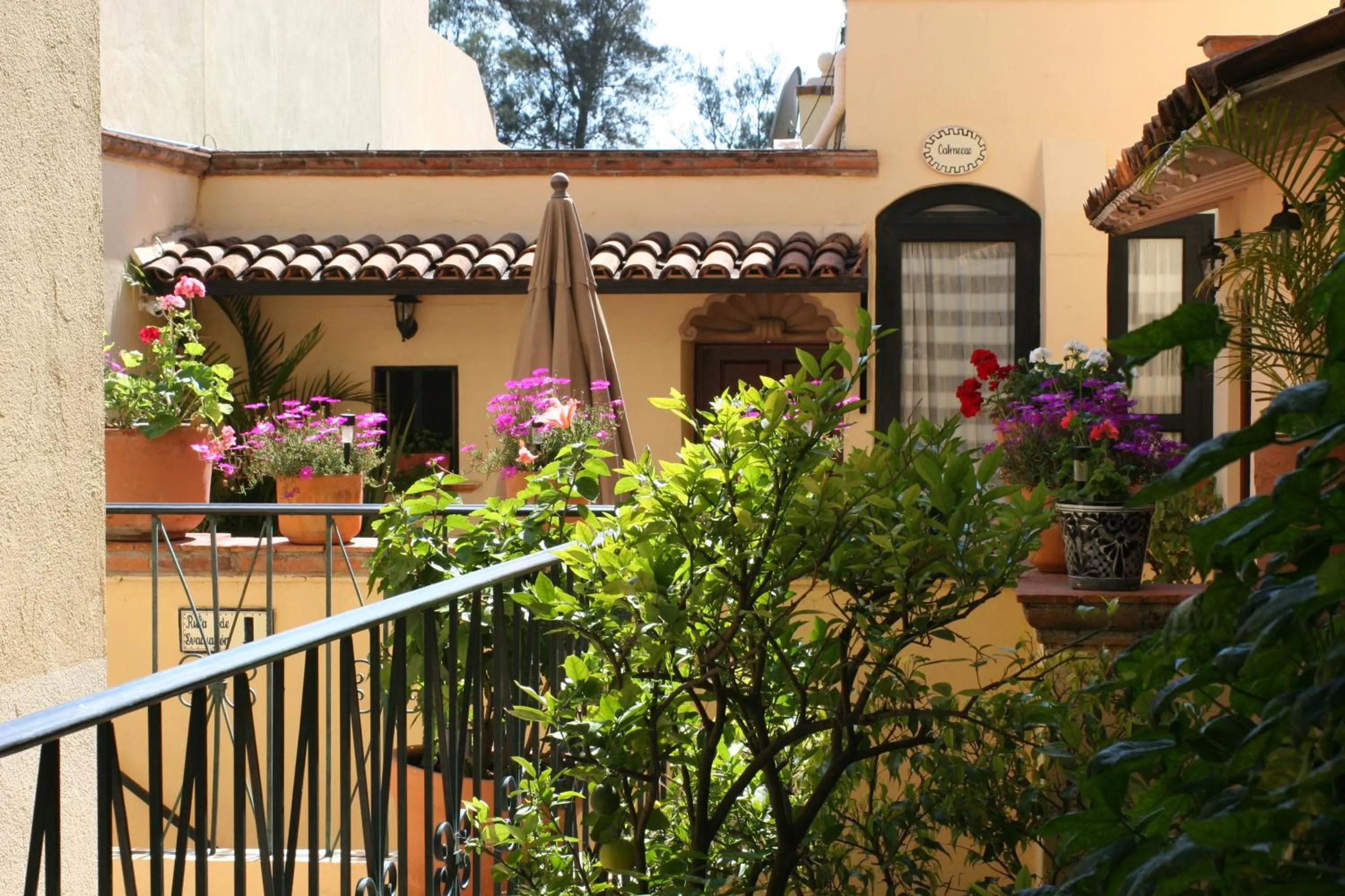 Garden in Villa Mirasol