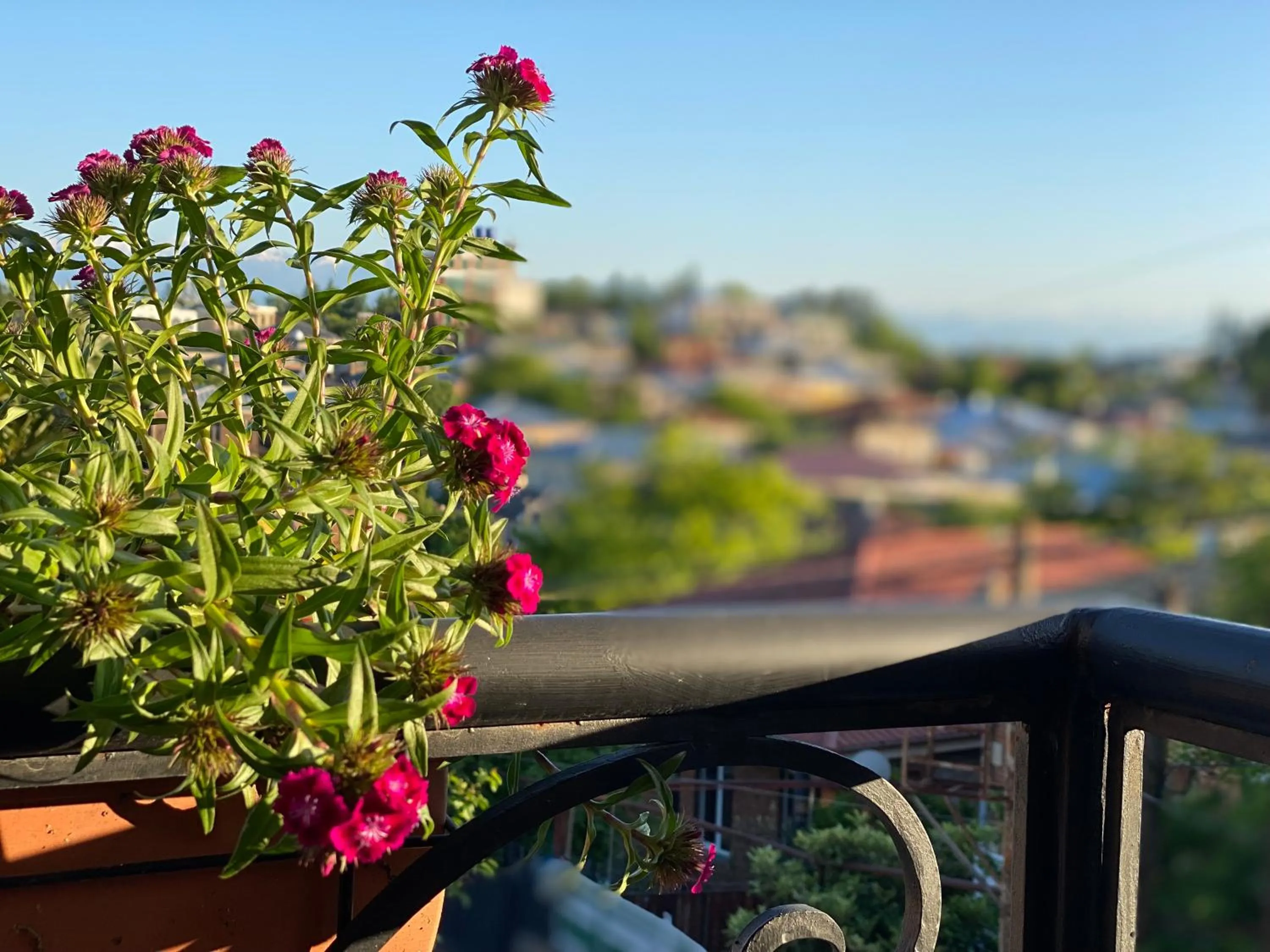 Decorative detail in Hotel Orange Kutaisi