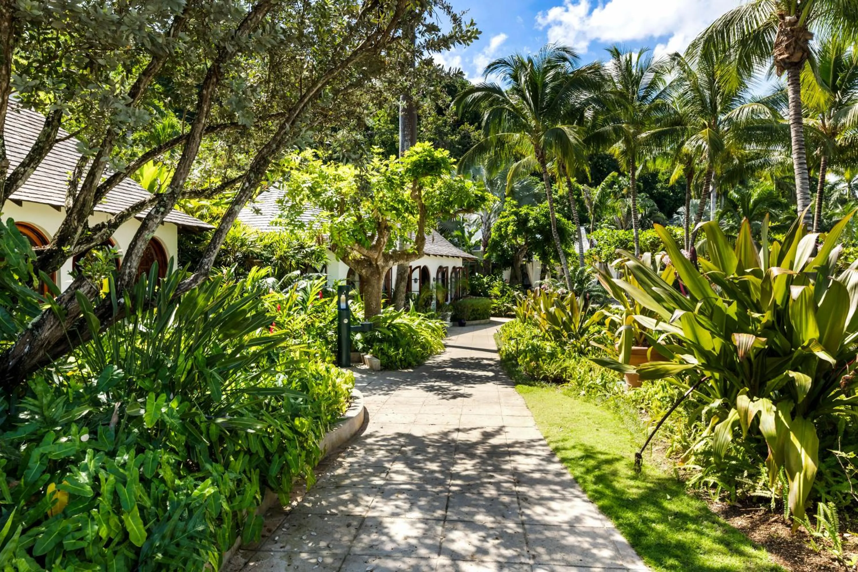 Library in Round Hill Hotel & Villas