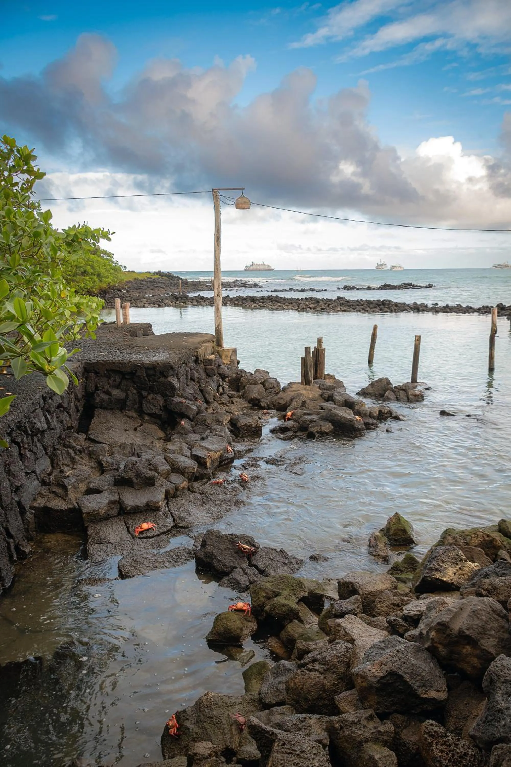 Natural landscape in Blu Galapagos Sustainable Waterfront Lodge