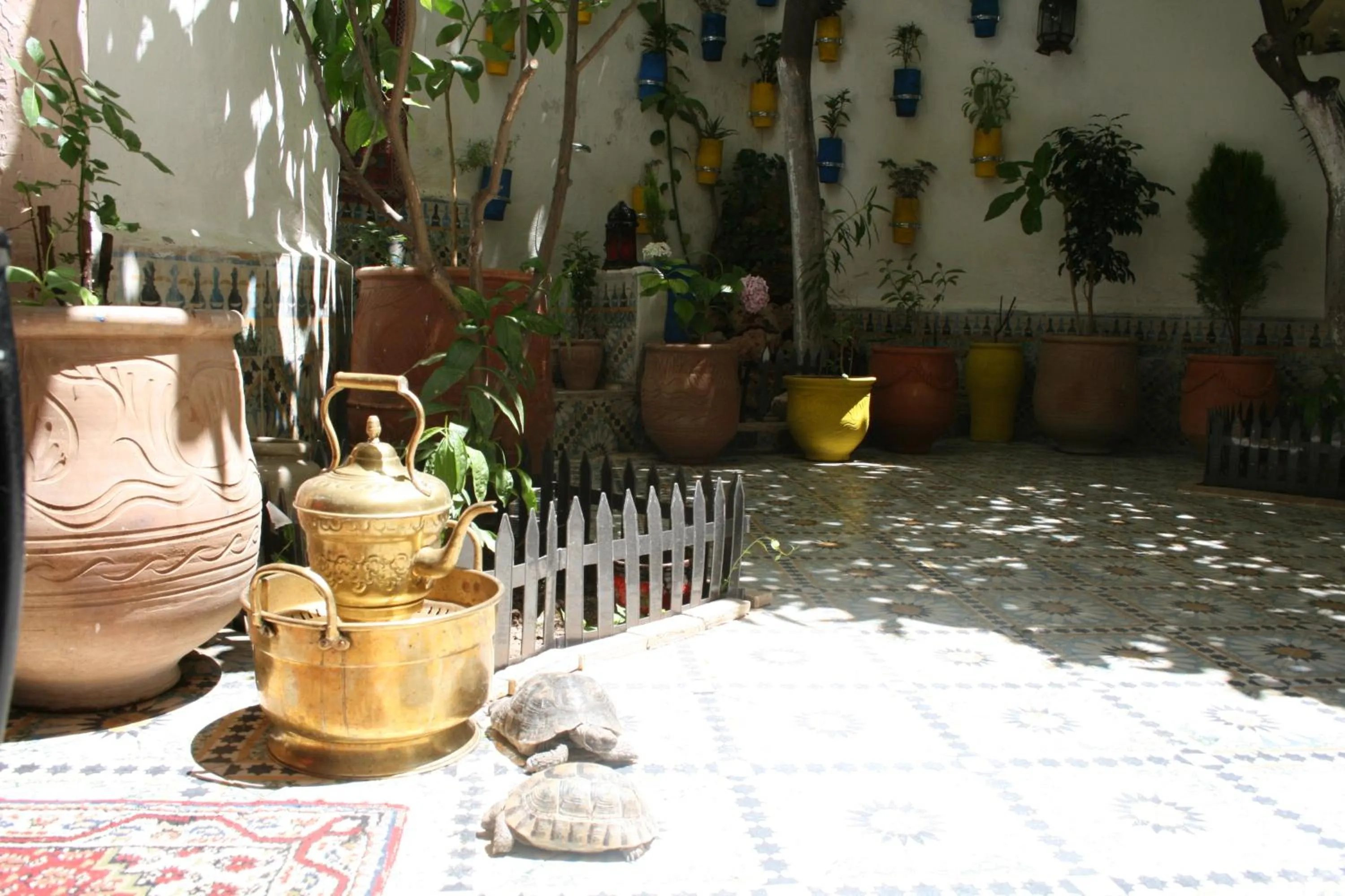 Garden view in Riad Lalla Fatima