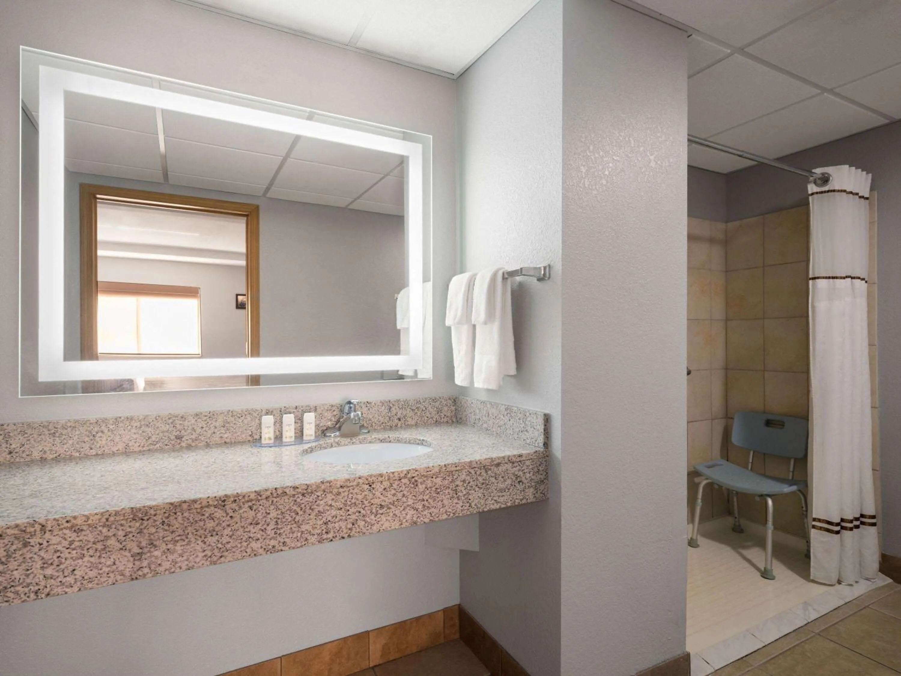 Shower in Best Western Woodstock Inn