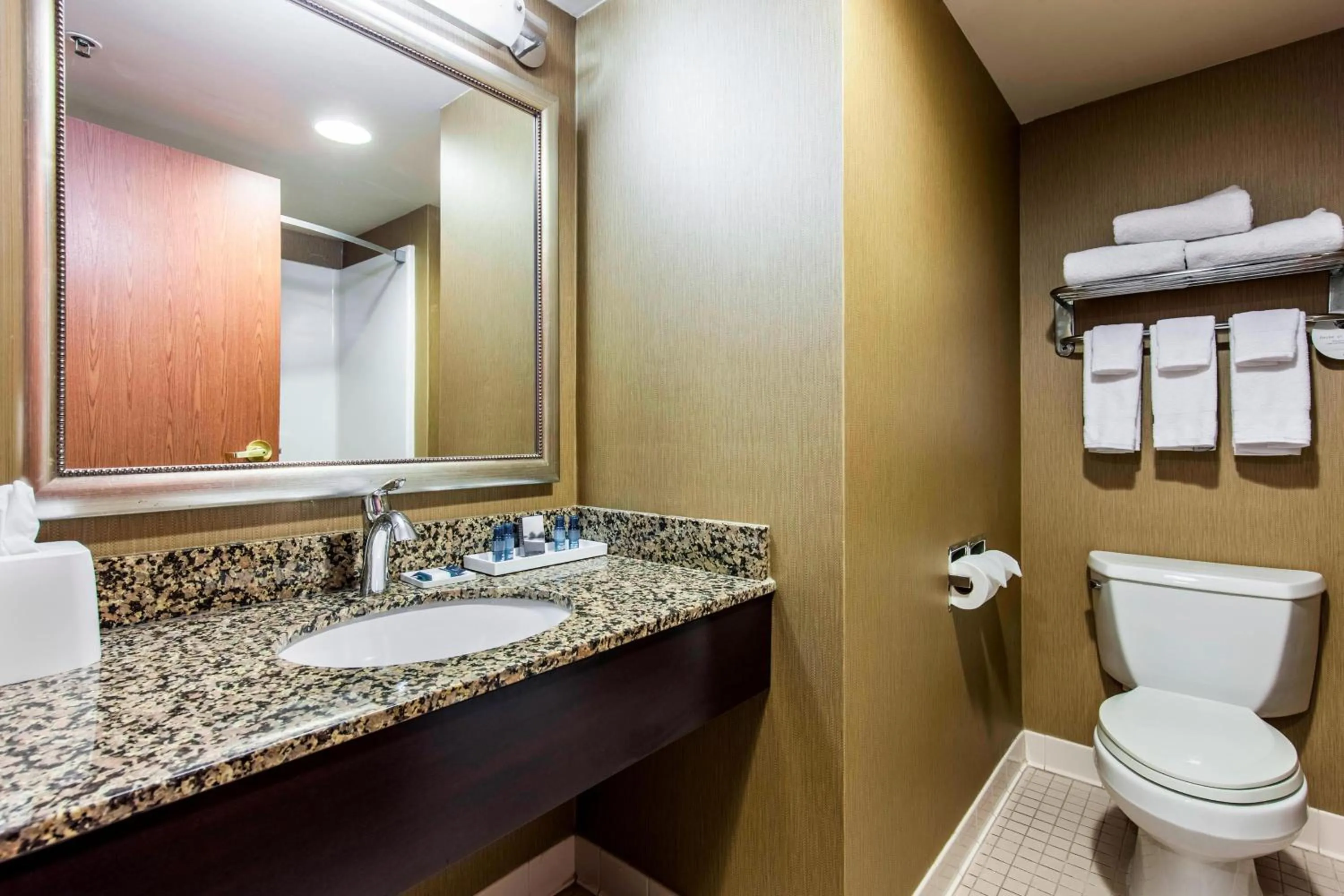 Bathroom in Delta Hotels by Marriott Fargo