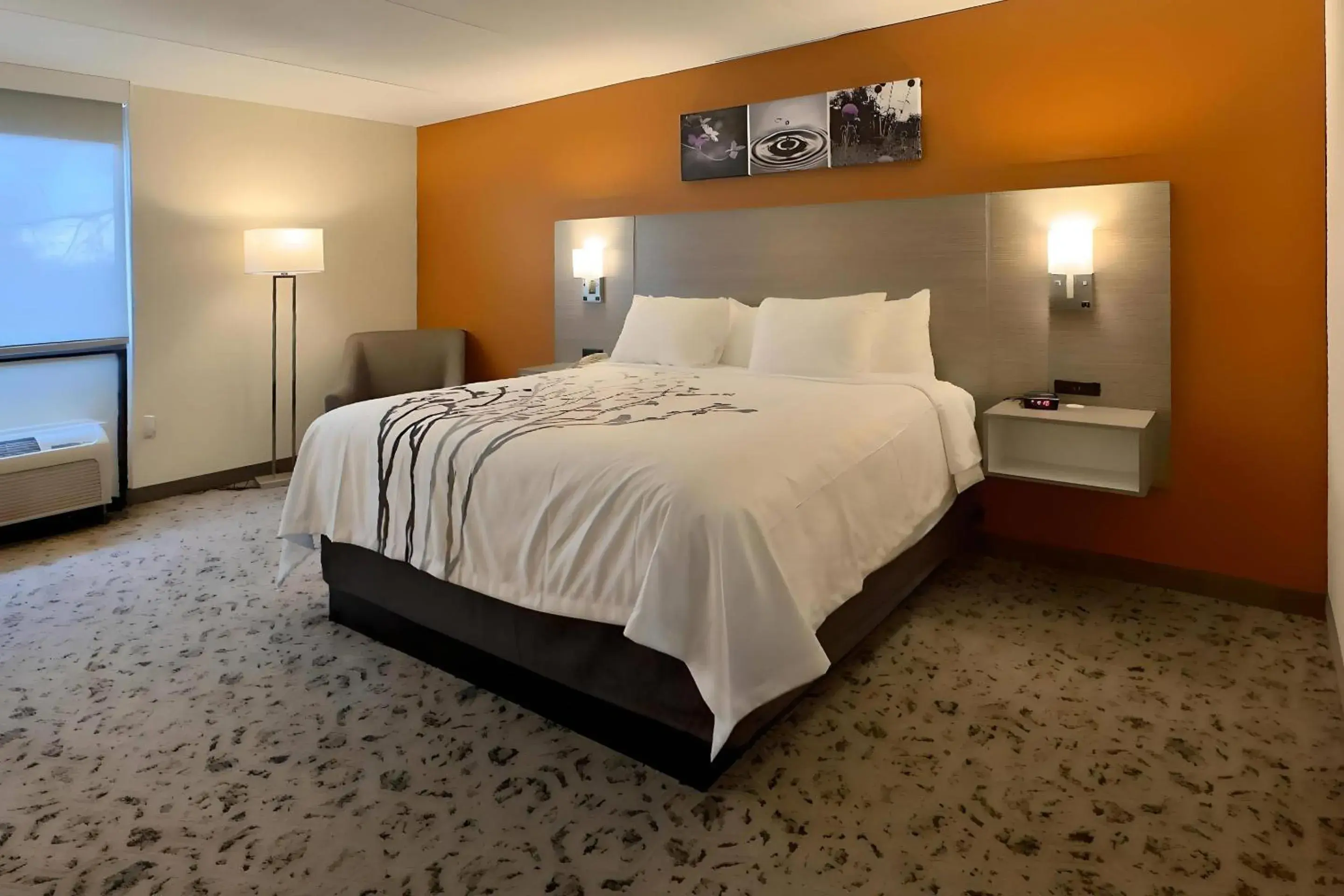 Bedroom, Bed in Sleep Inn Chambersburg Bedroom, Bed in Sleep Inn Chambersburg