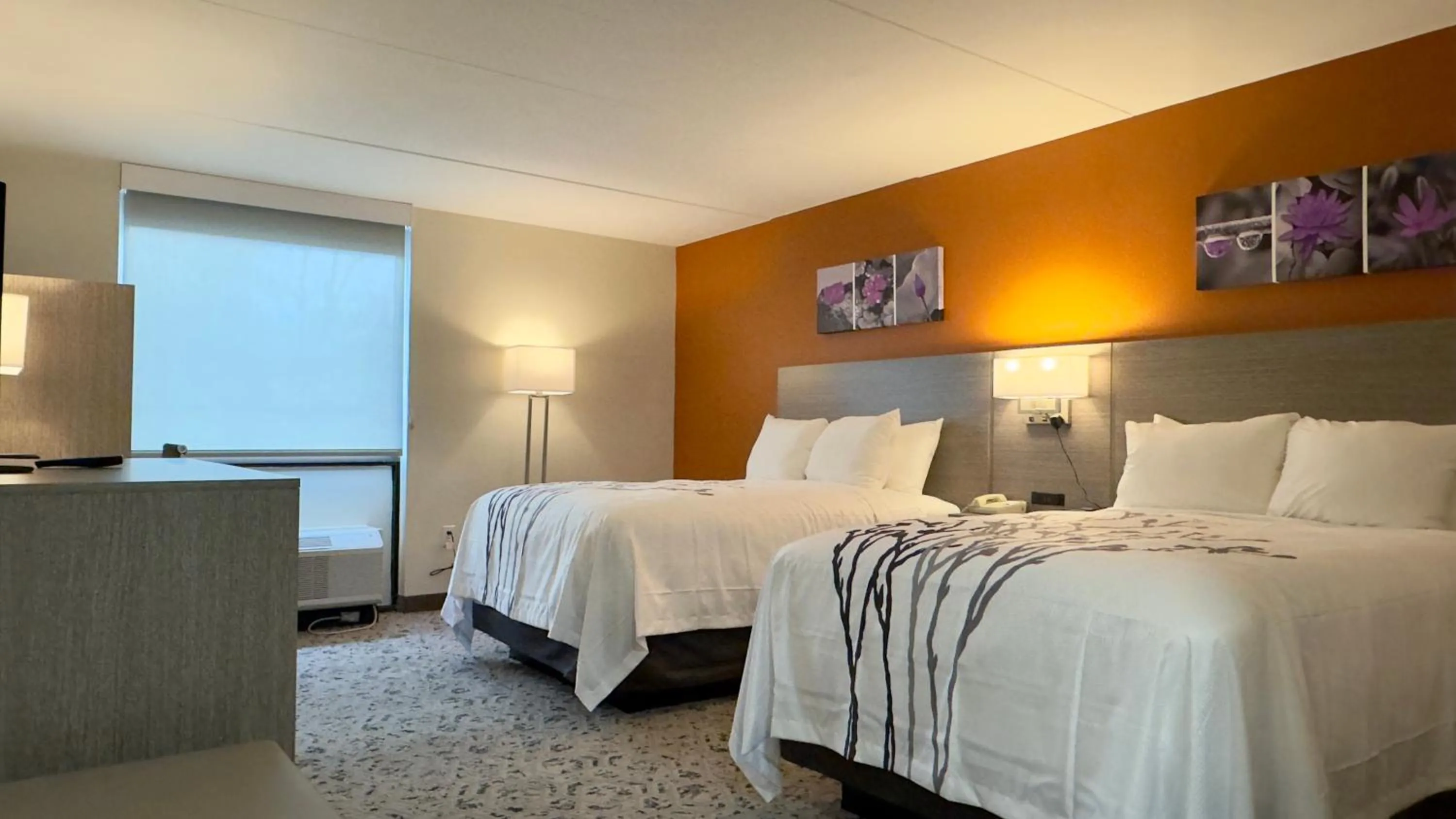 Photo of the whole room, Bed in Sleep Inn Chambersburg