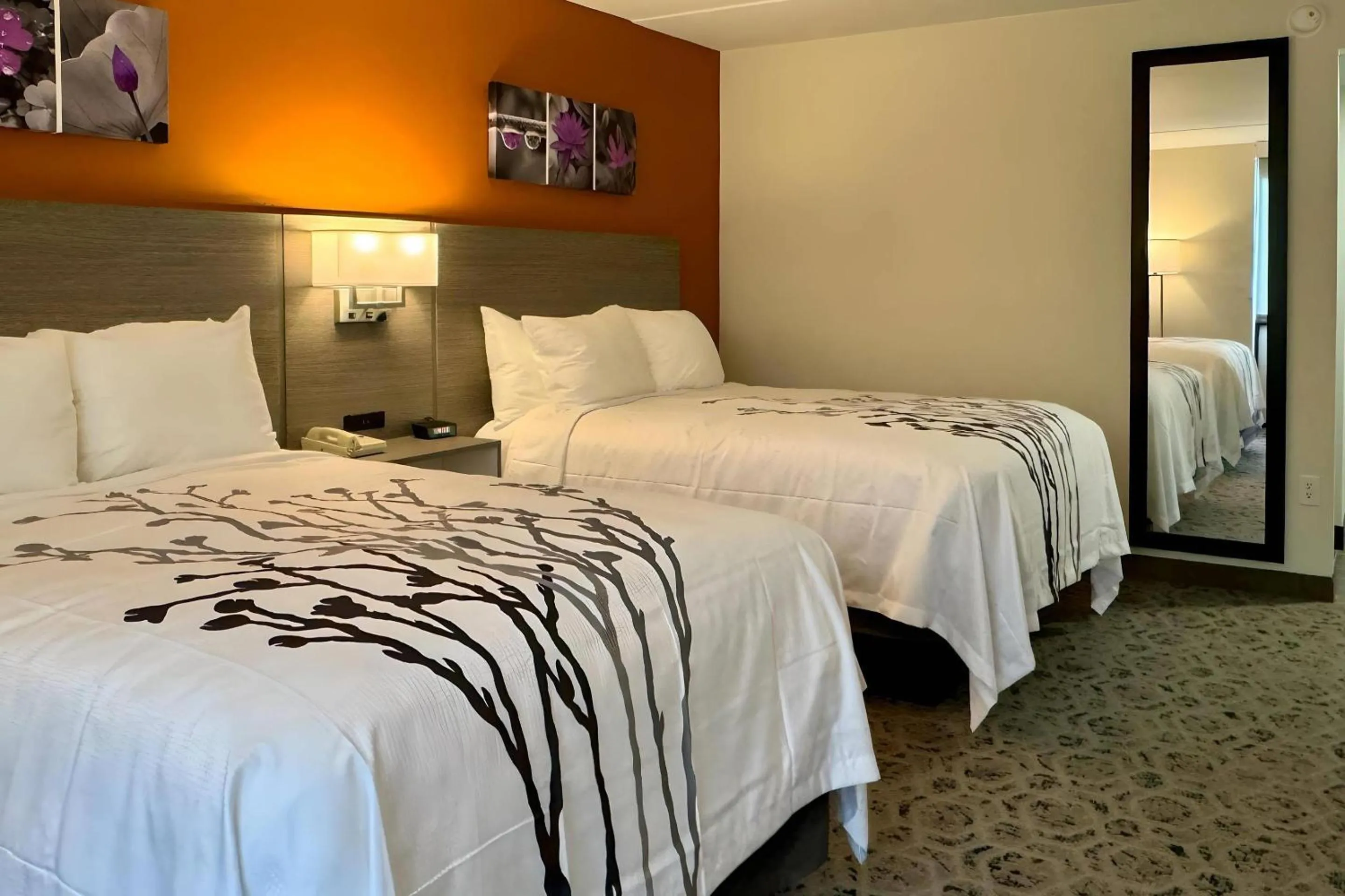 Bedroom, Bed in Sleep Inn Chambersburg