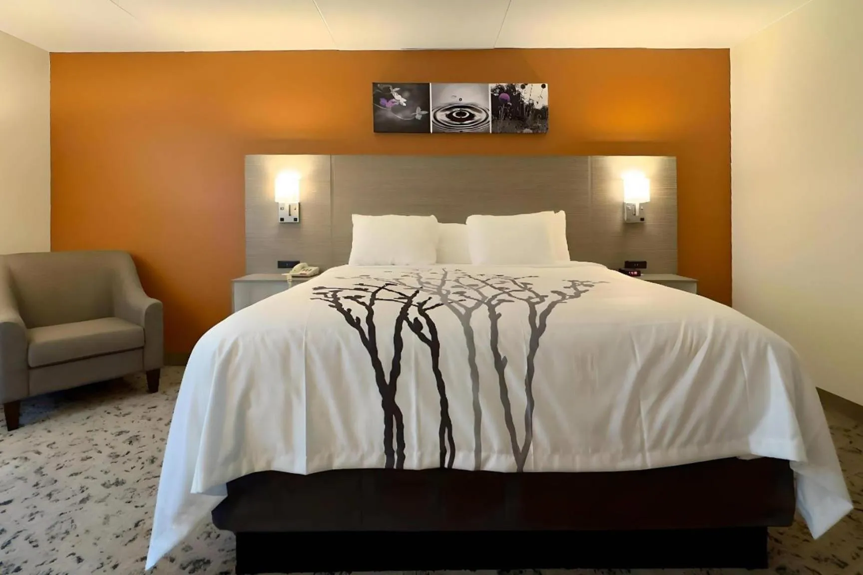 Bedroom, Bed in Sleep Inn Chambersburg