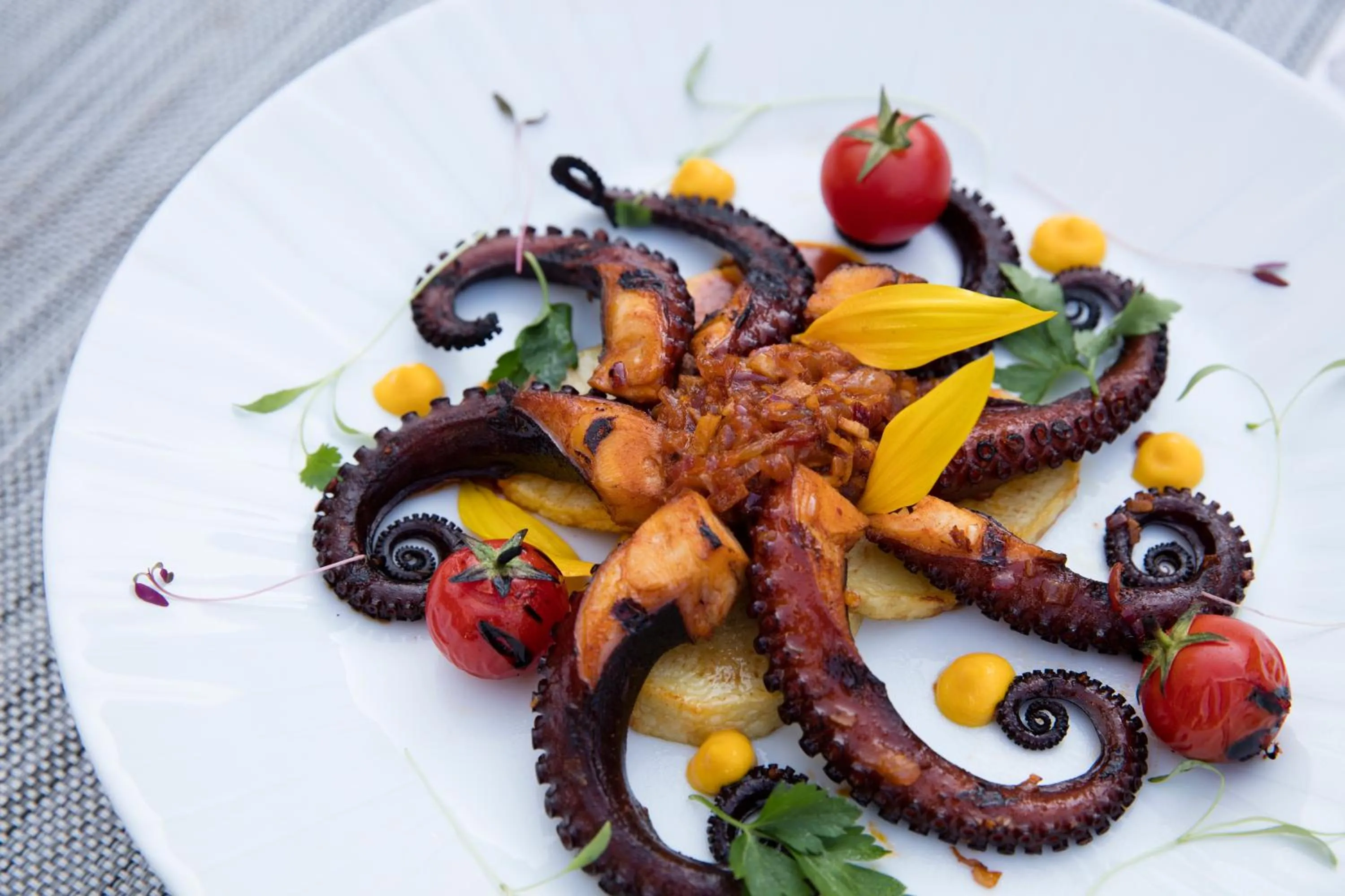 Food close-up in Krystal Satelite Maria Barbara