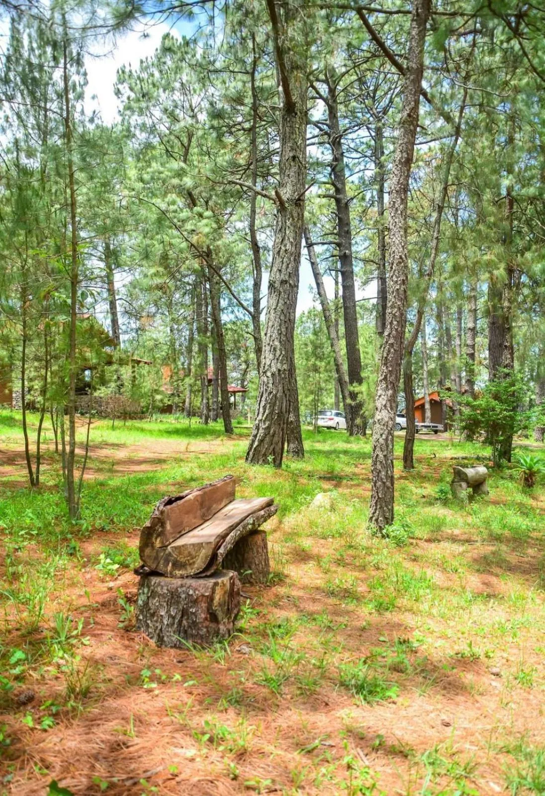 Monterra Tapalpa