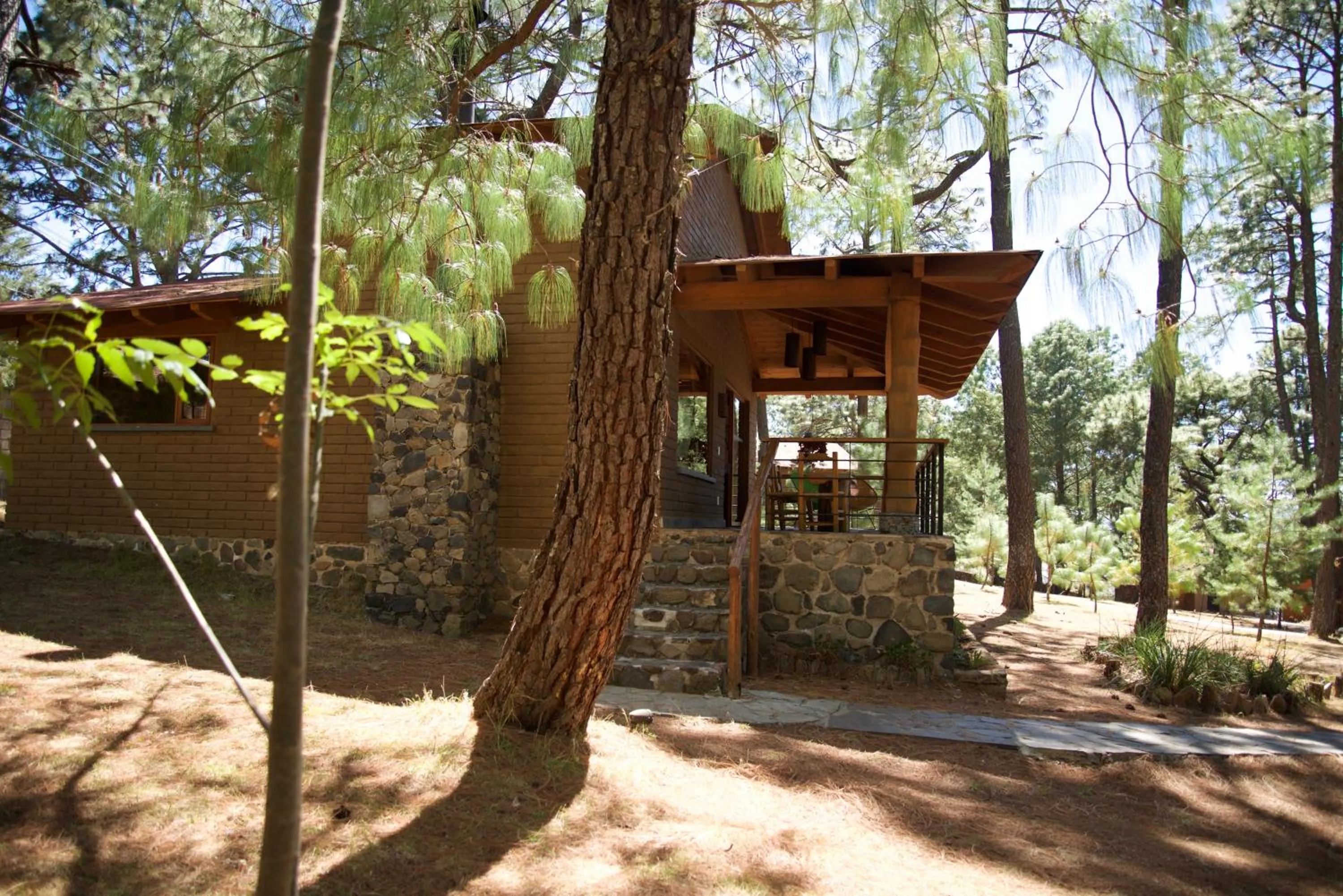 Spring in Monterra Tapalpa