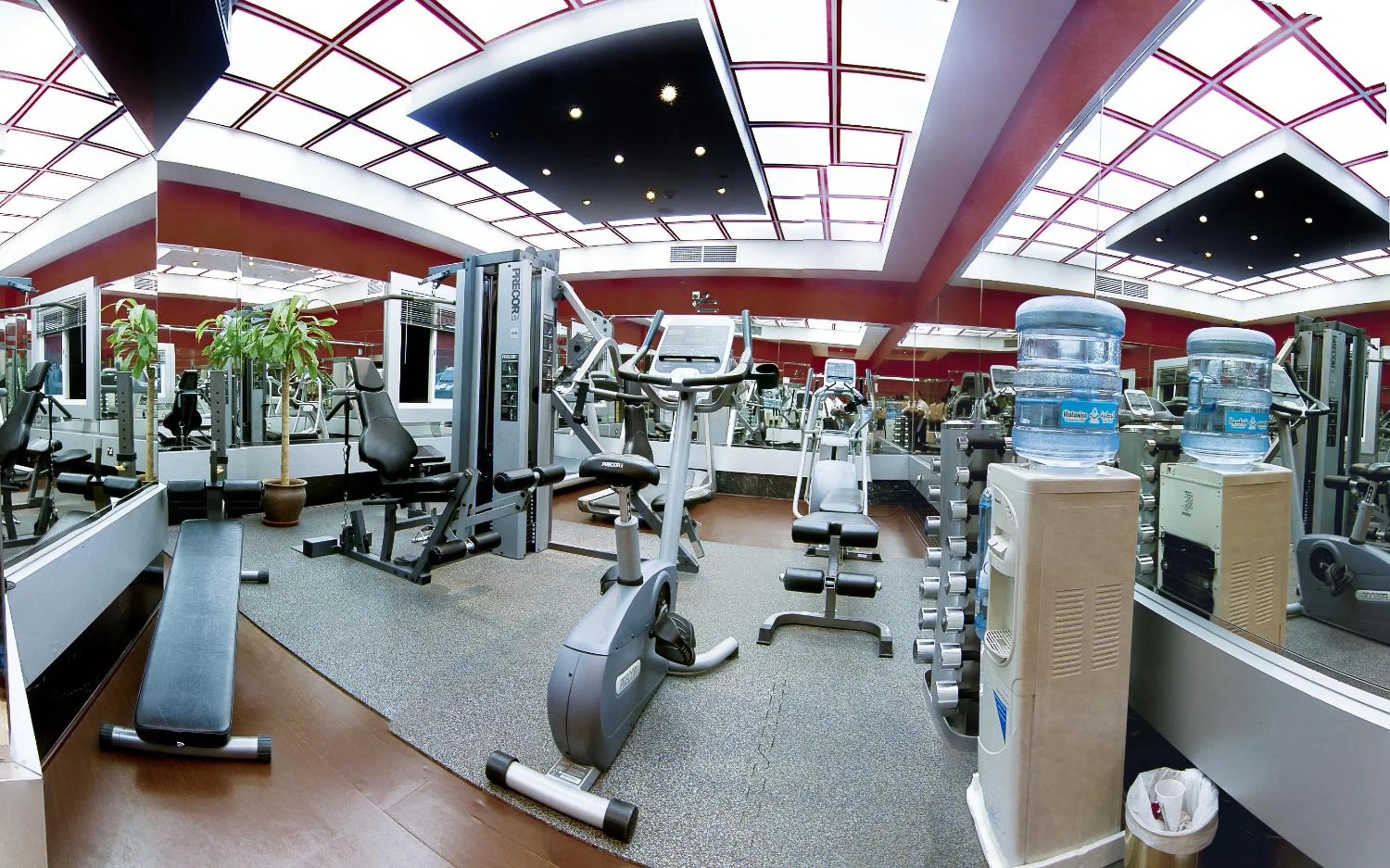 Fitness centre/facilities in Chairmen Hotel