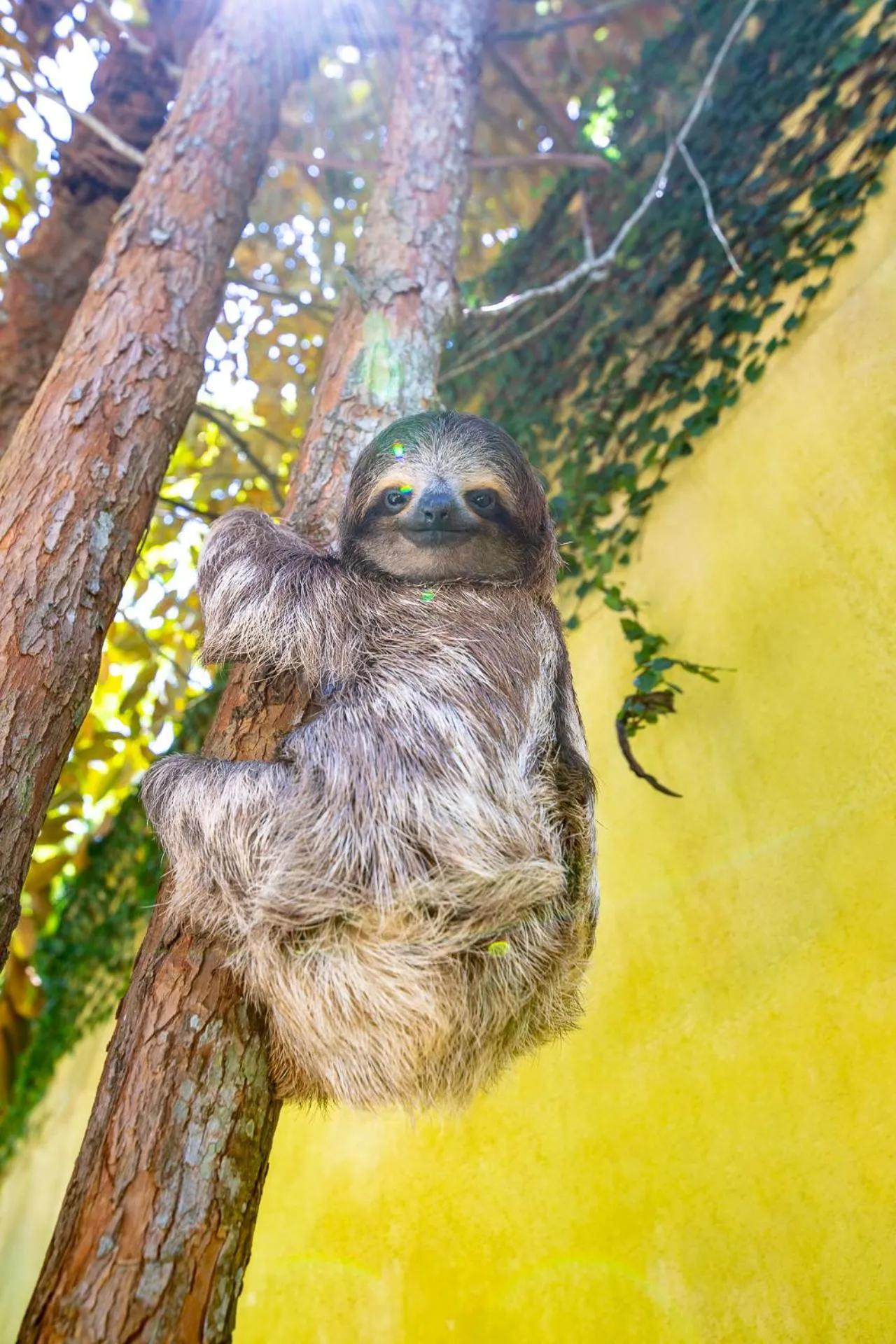 Garden view in Villas Piña - Adults only