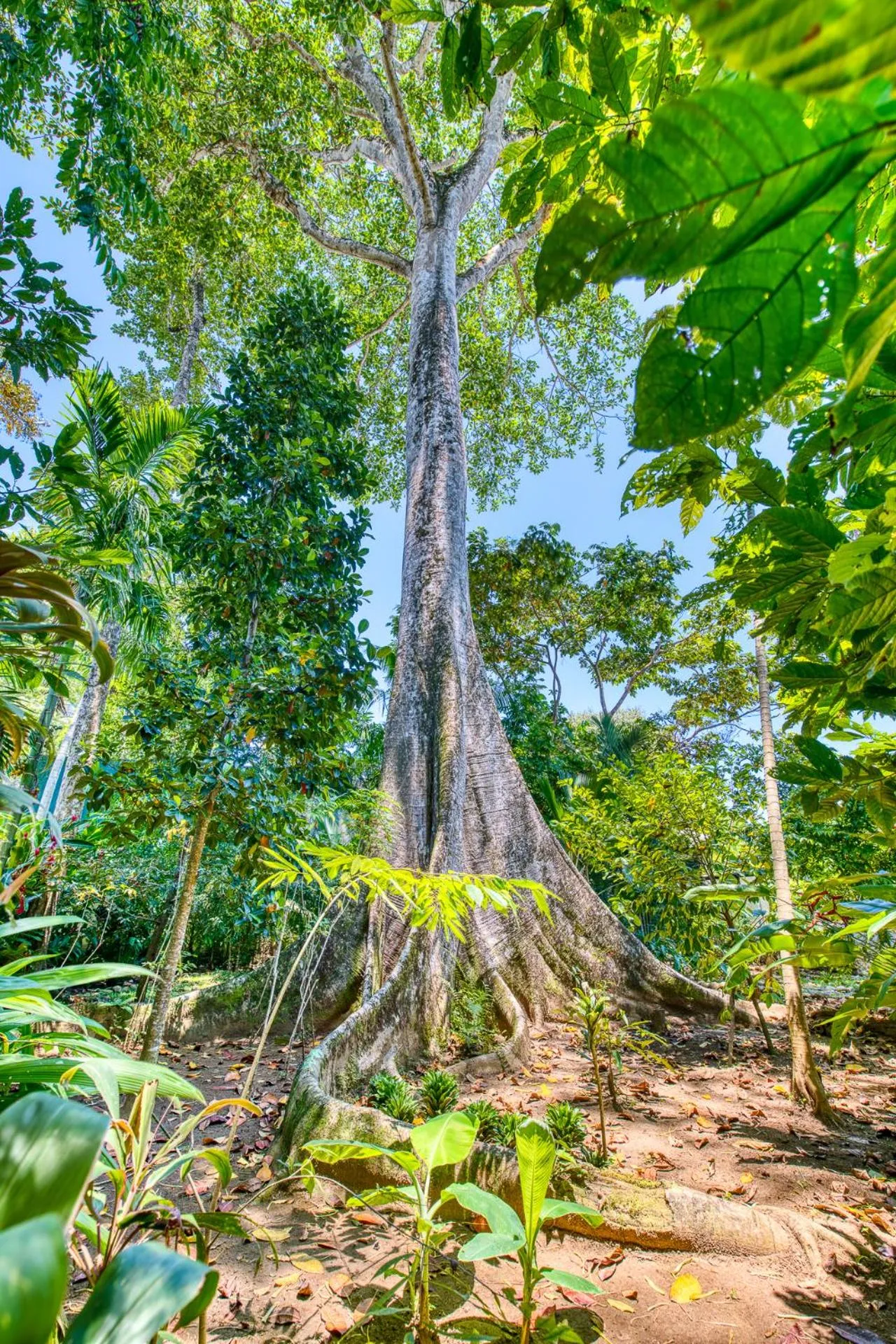 Natural landscape in Villas Piña - Adults only