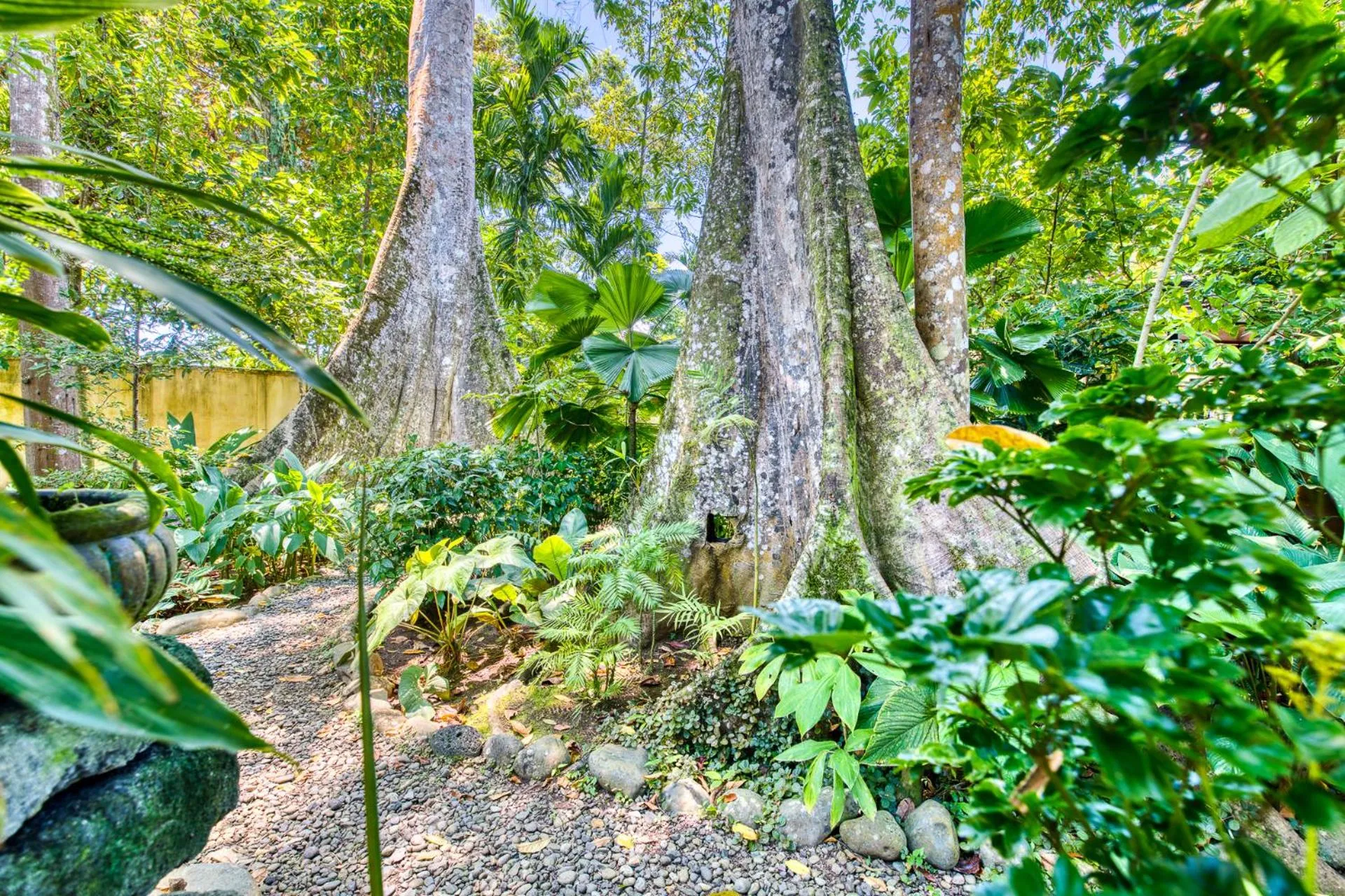 Garden in Villas Piña - Adults only