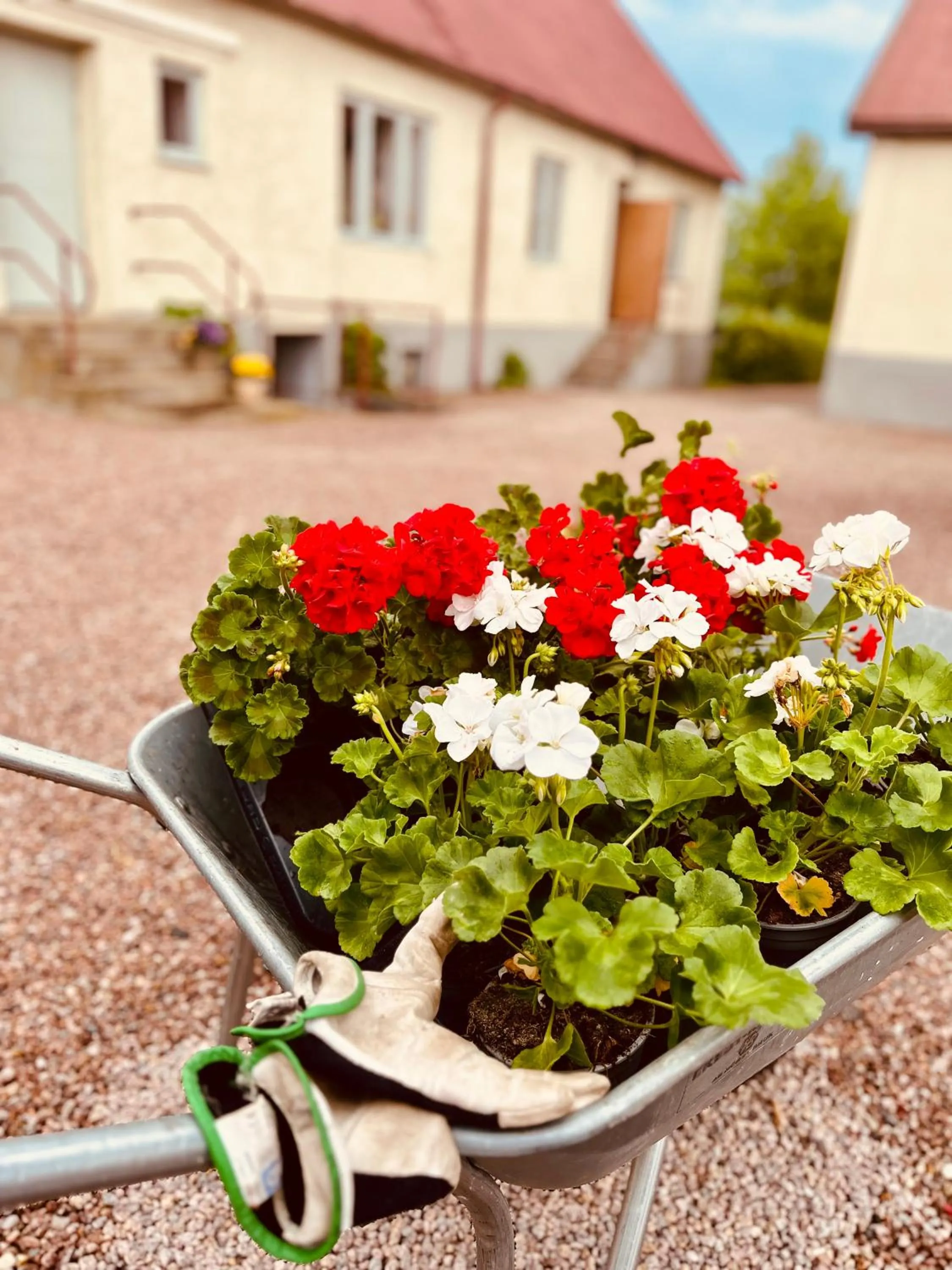 Property building in Örums Nygård Gårdshotell