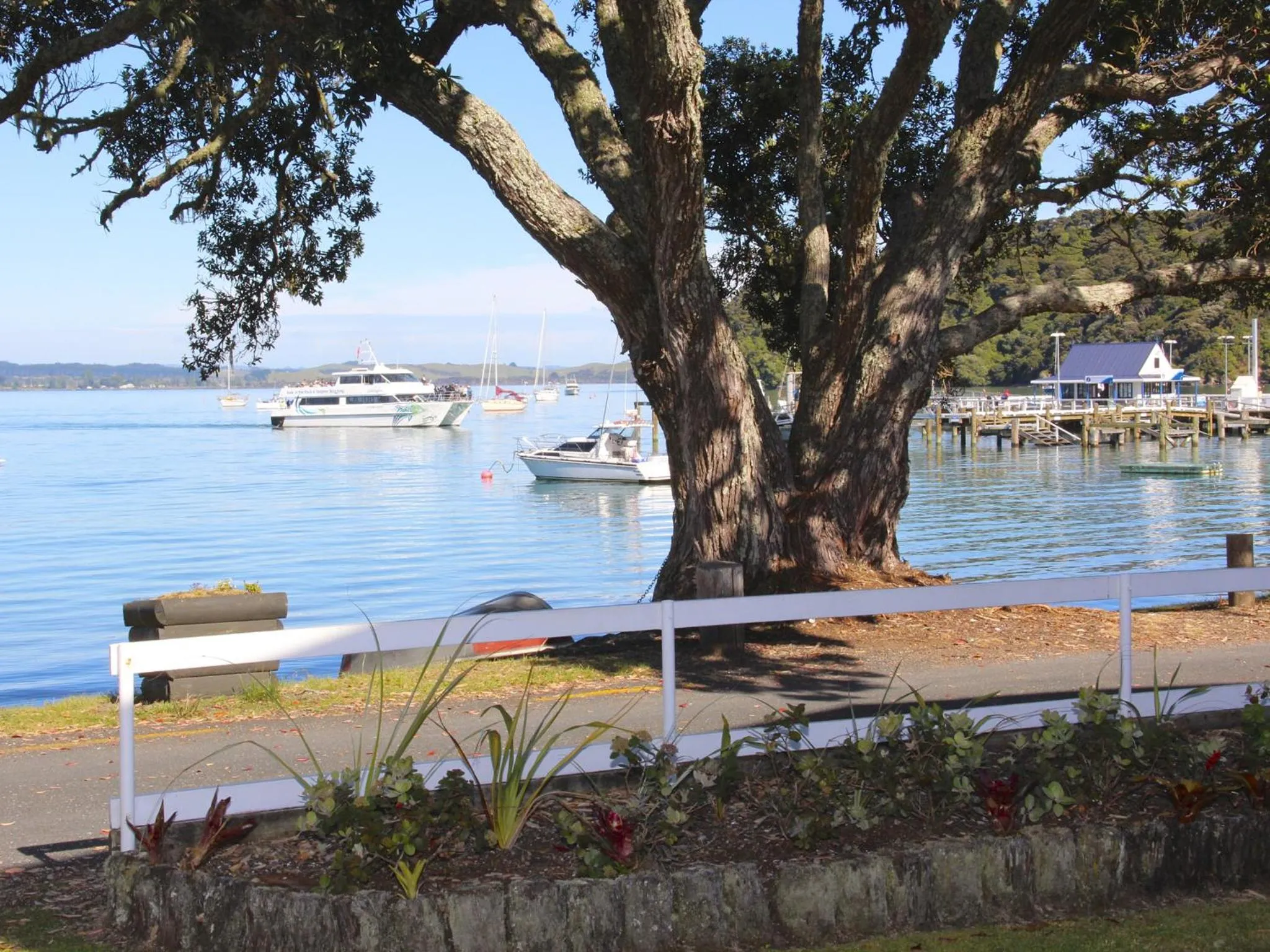 Day in Hananui Lodge and Apartments