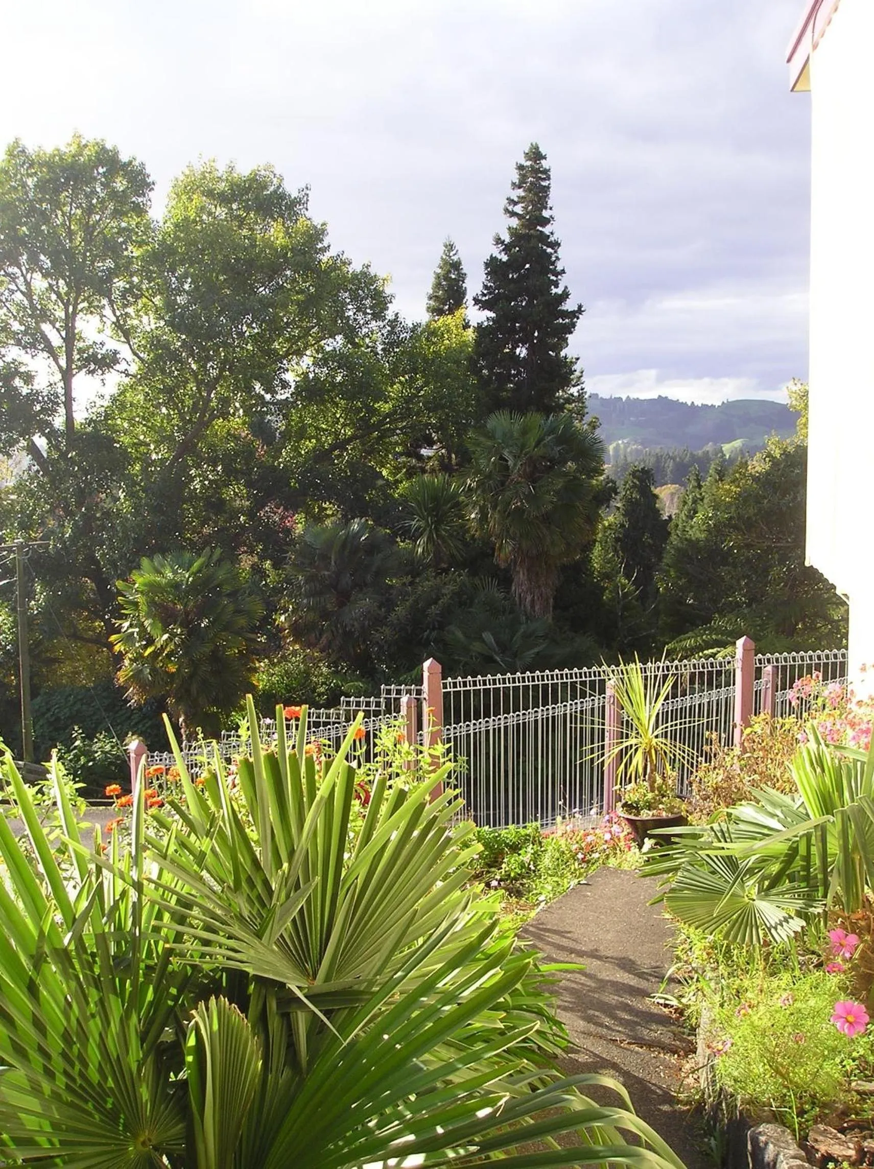 Garden in Panorama Motor Inn