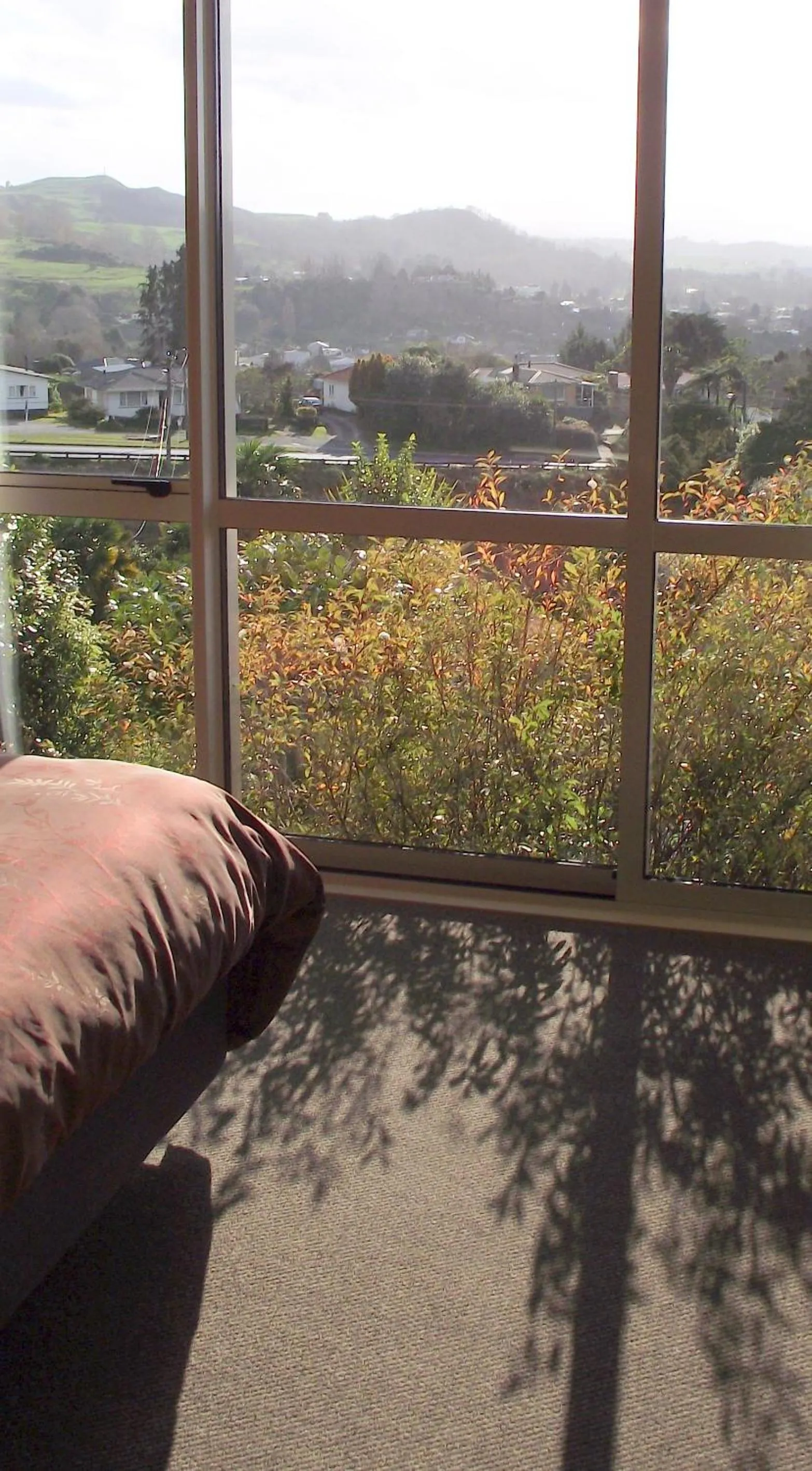 View (from property/room) in Panorama Motor Inn