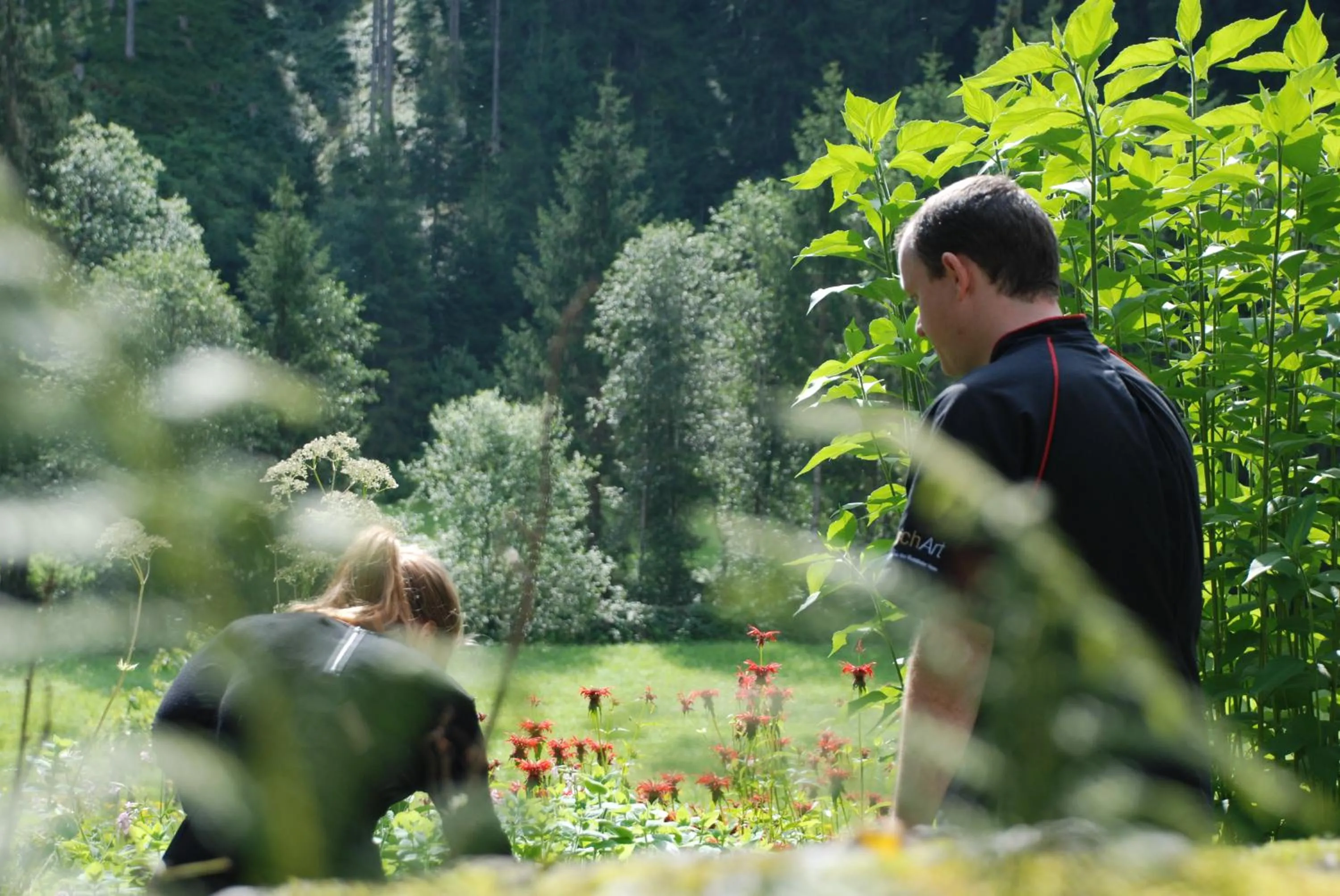 Garden in Gasthaus Steinberg