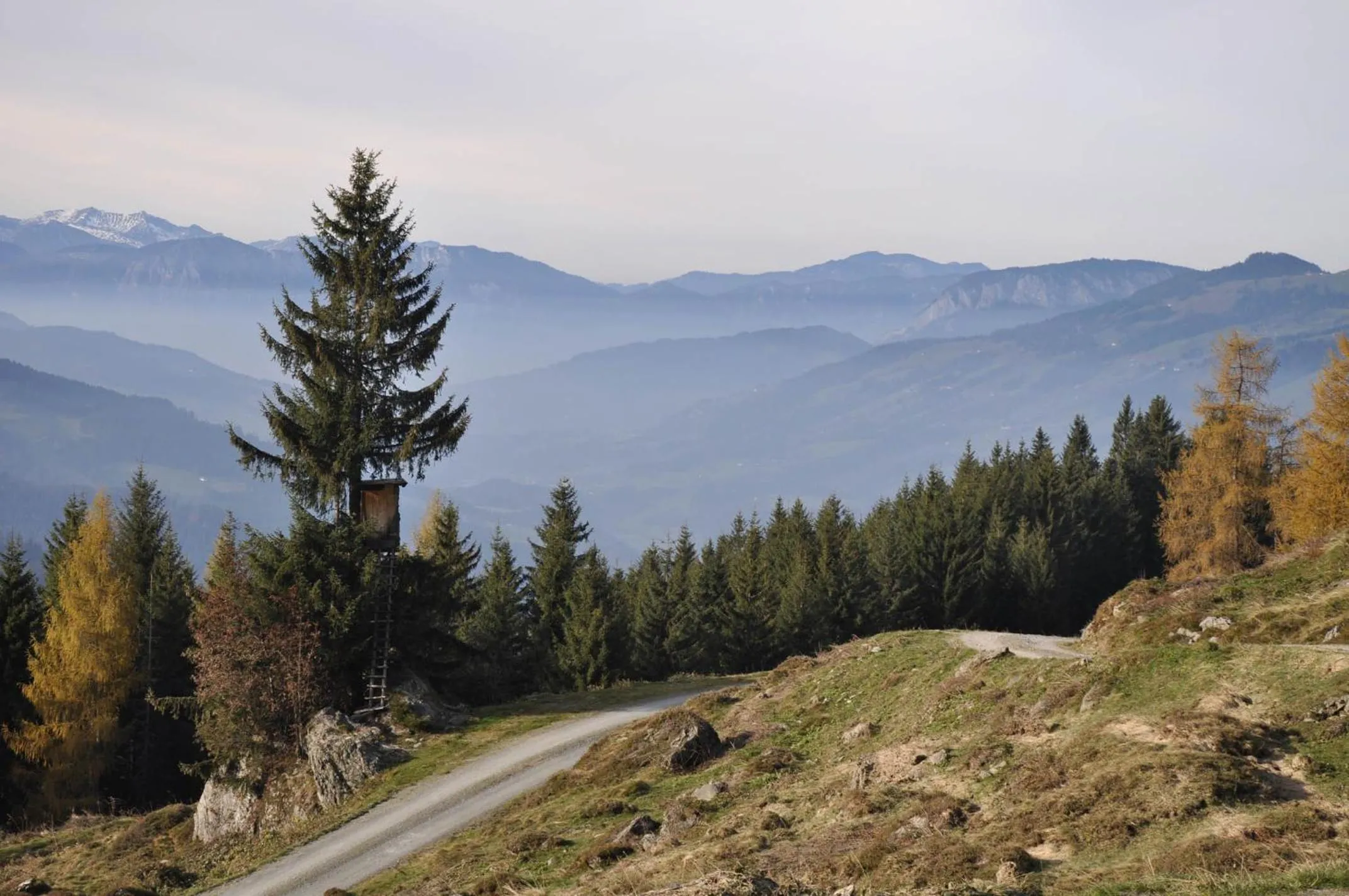 Natural landscape in Gasthaus Steinberg