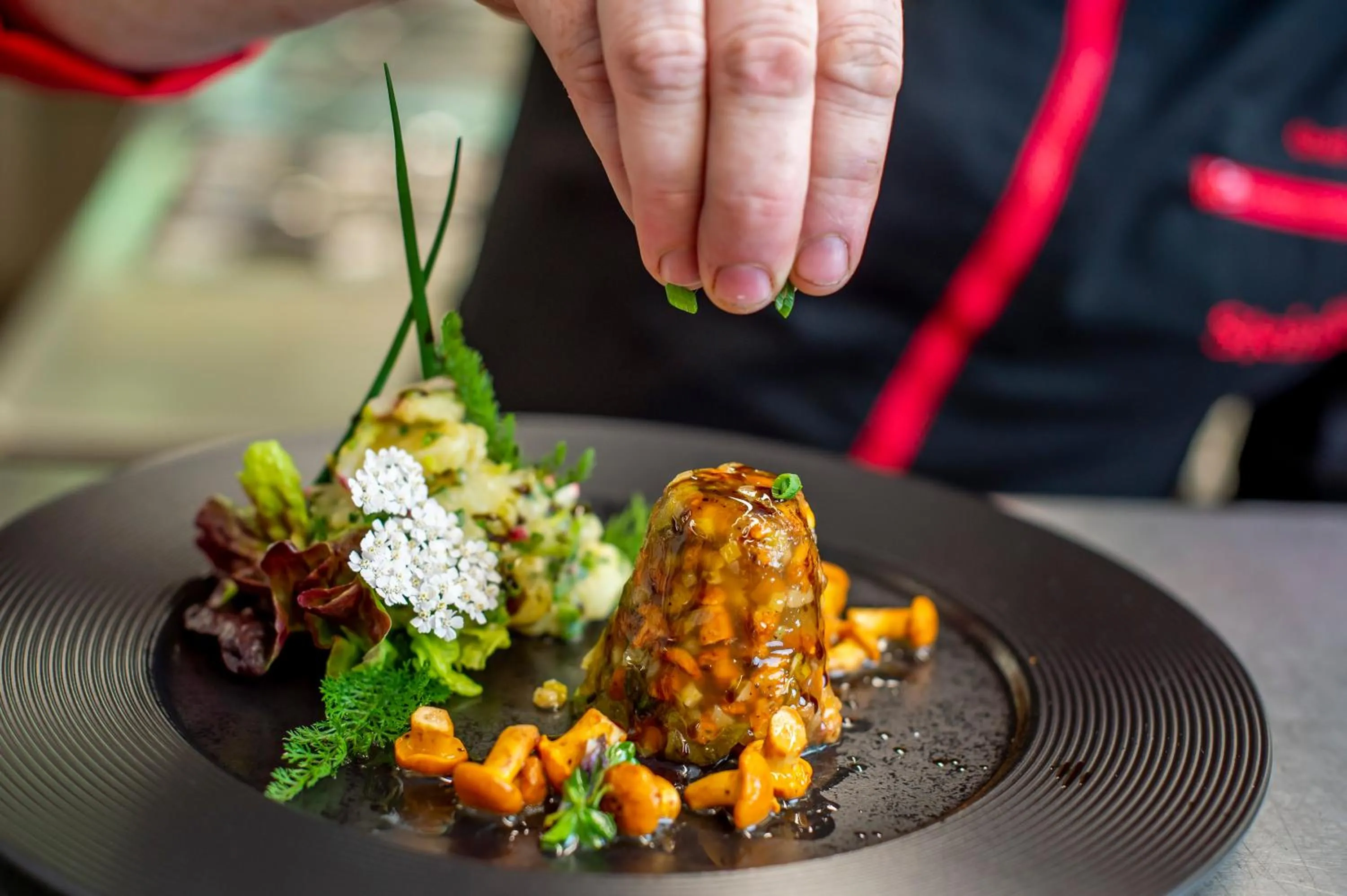 Restaurant/places to eat in Gasthaus Steinberg
